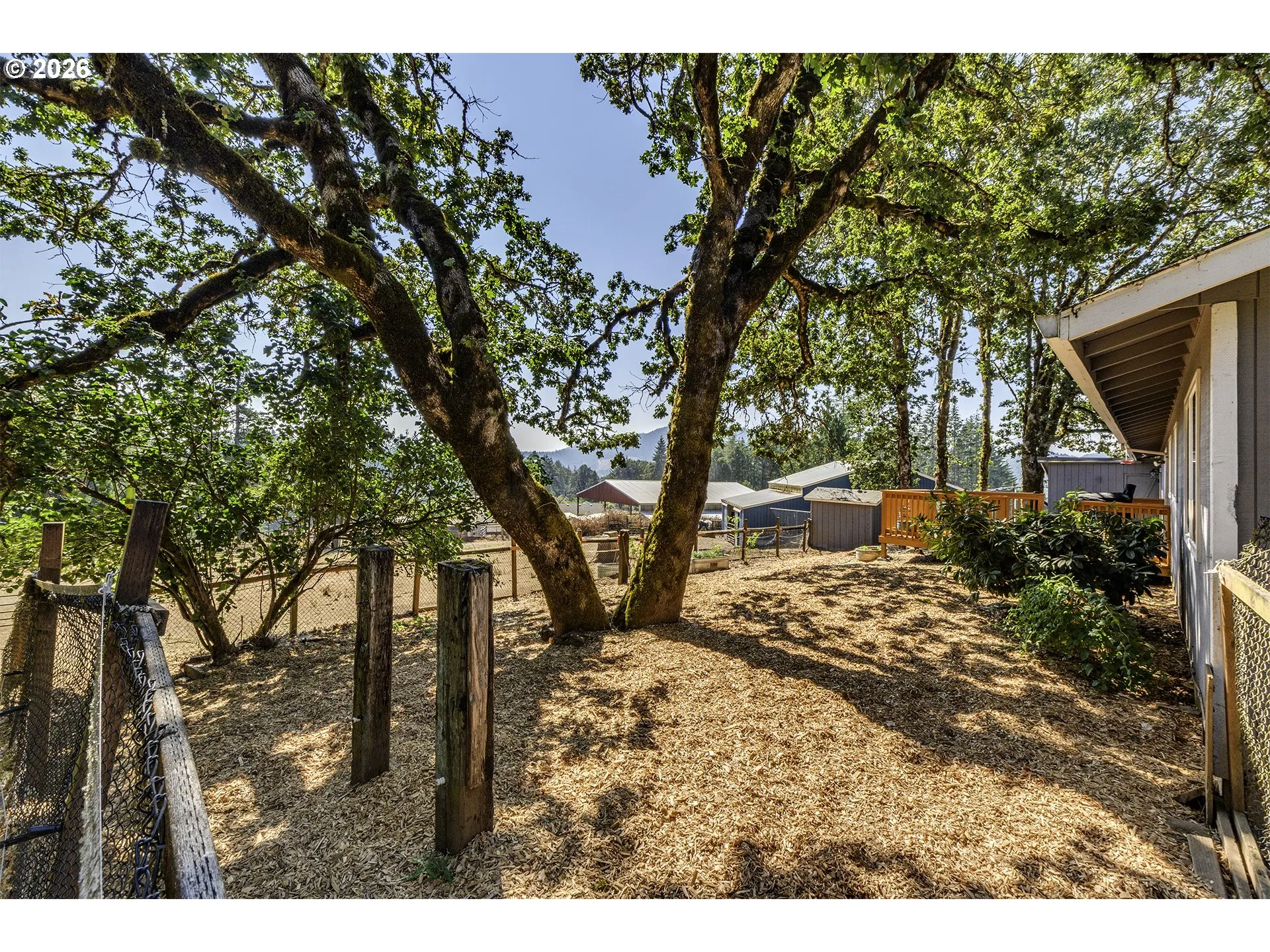 Backyard-Fenced