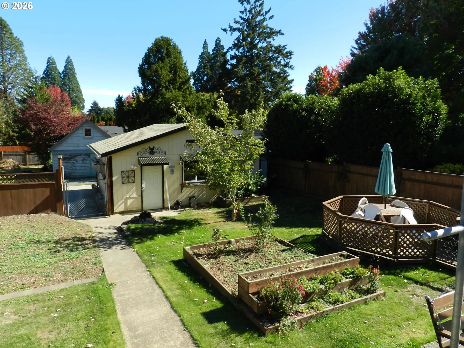 Backyard