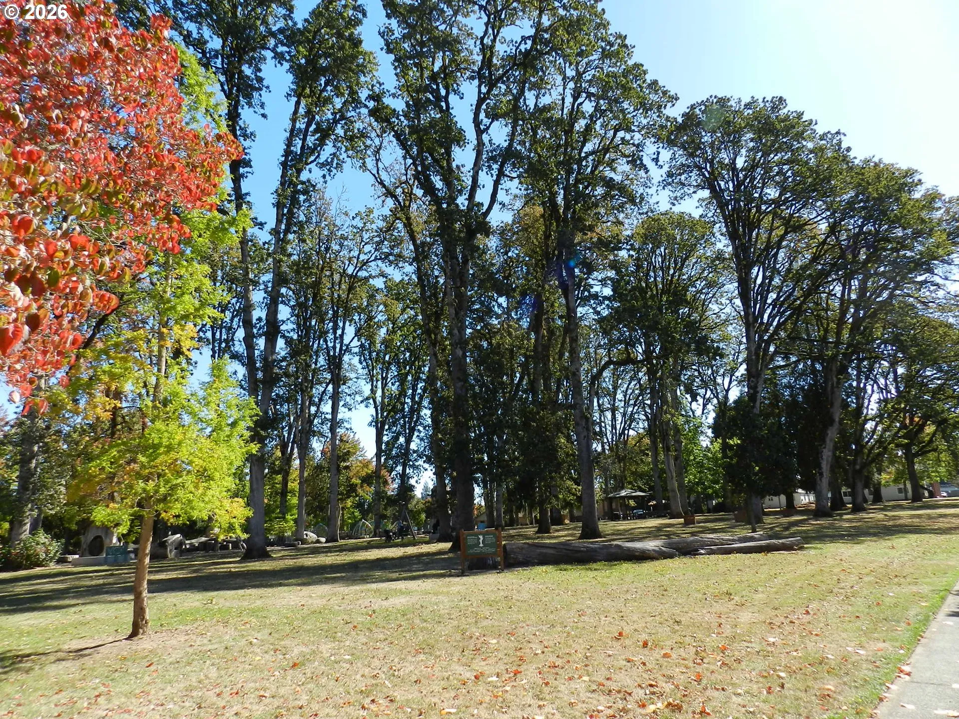 Neighborhood Park
