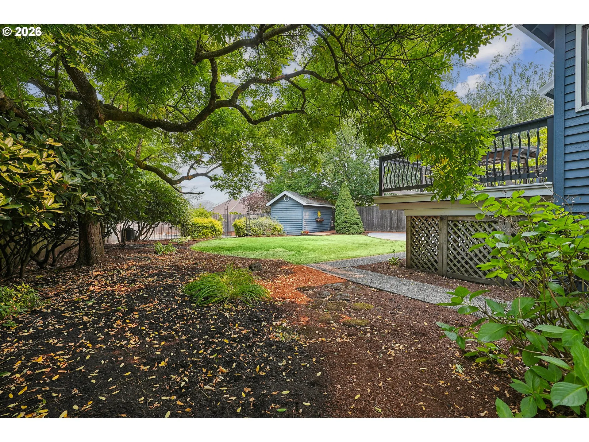 Backyard