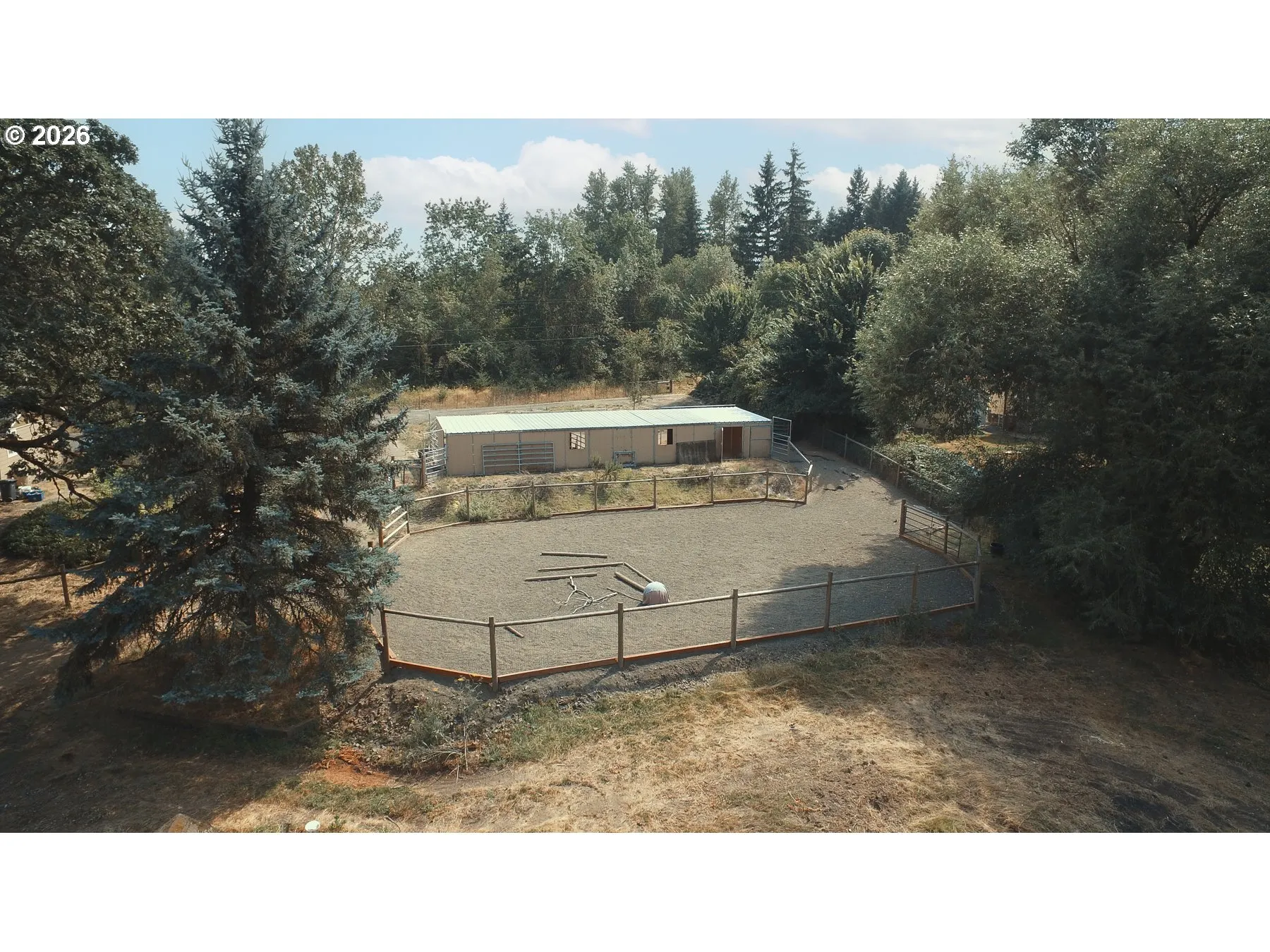 Arena