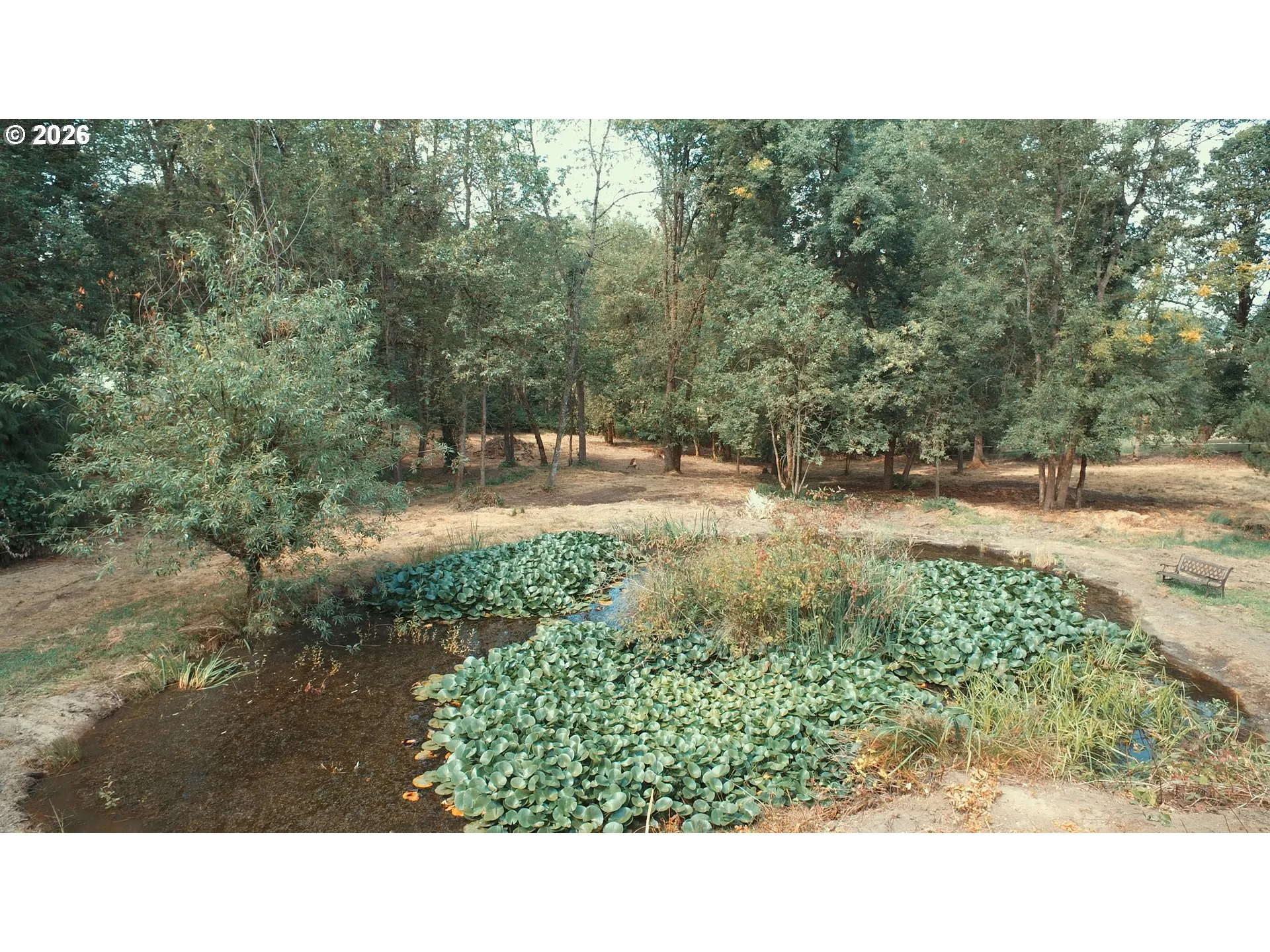 Pond