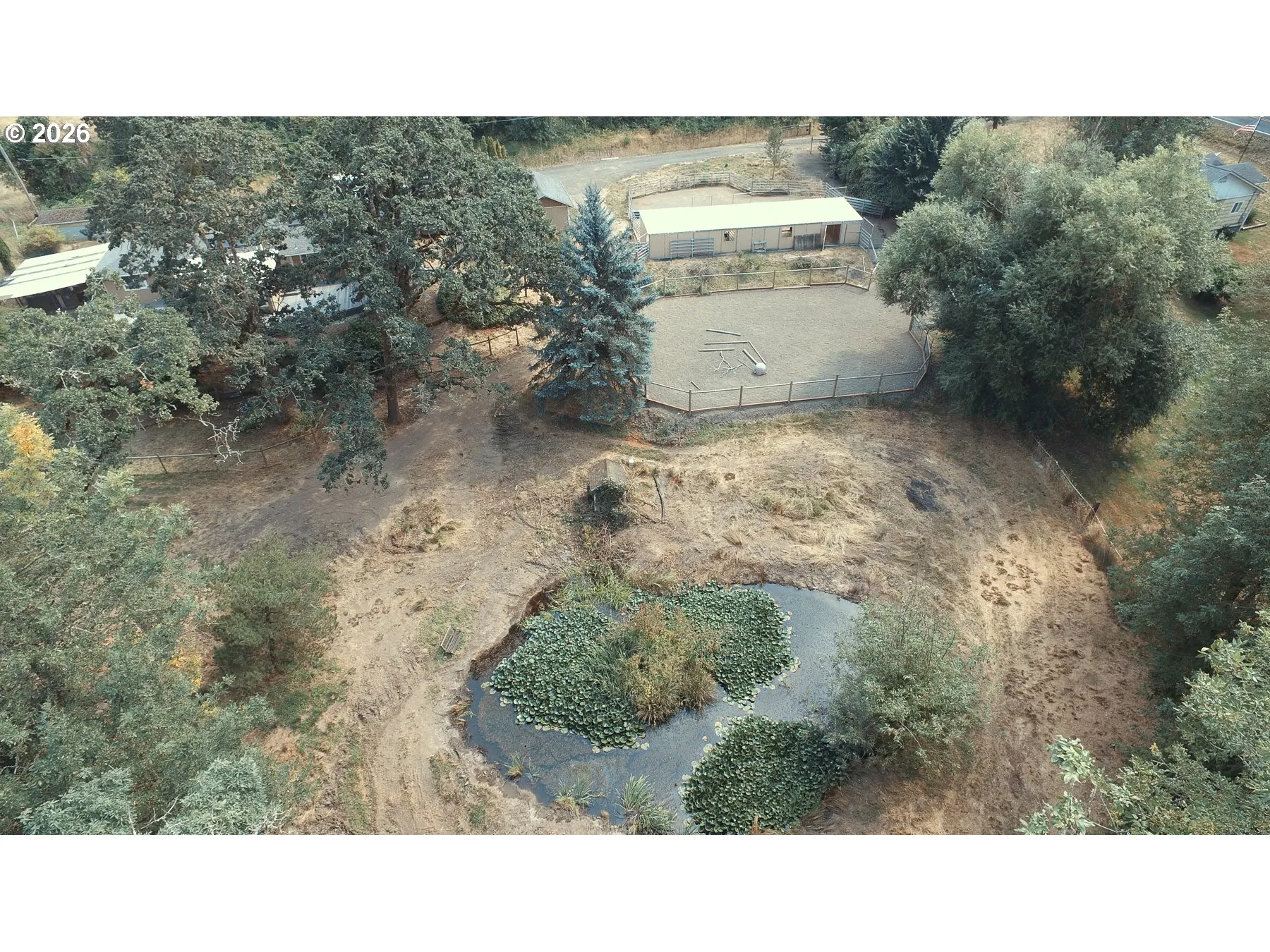 Pond