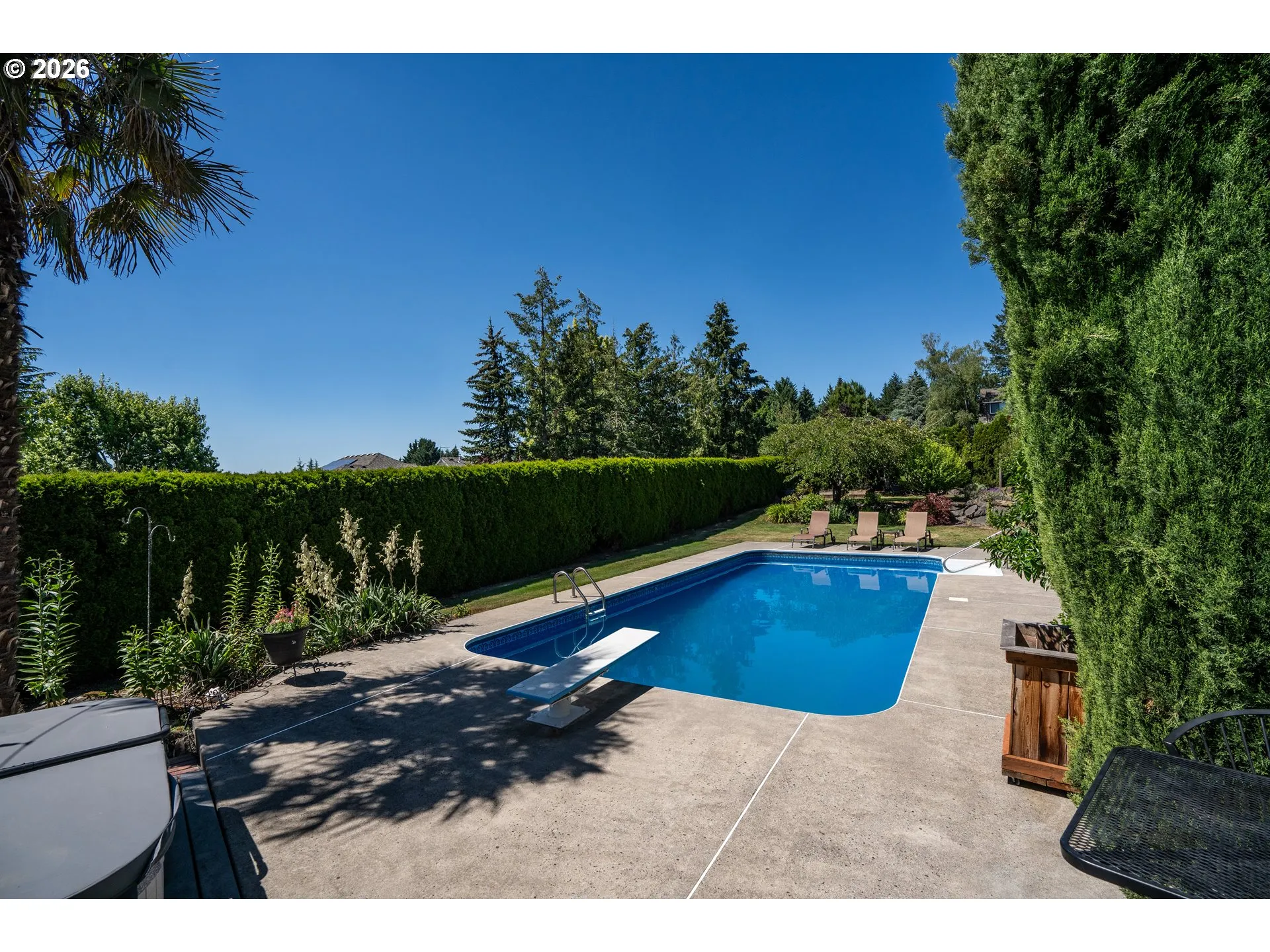 Backyard-View From