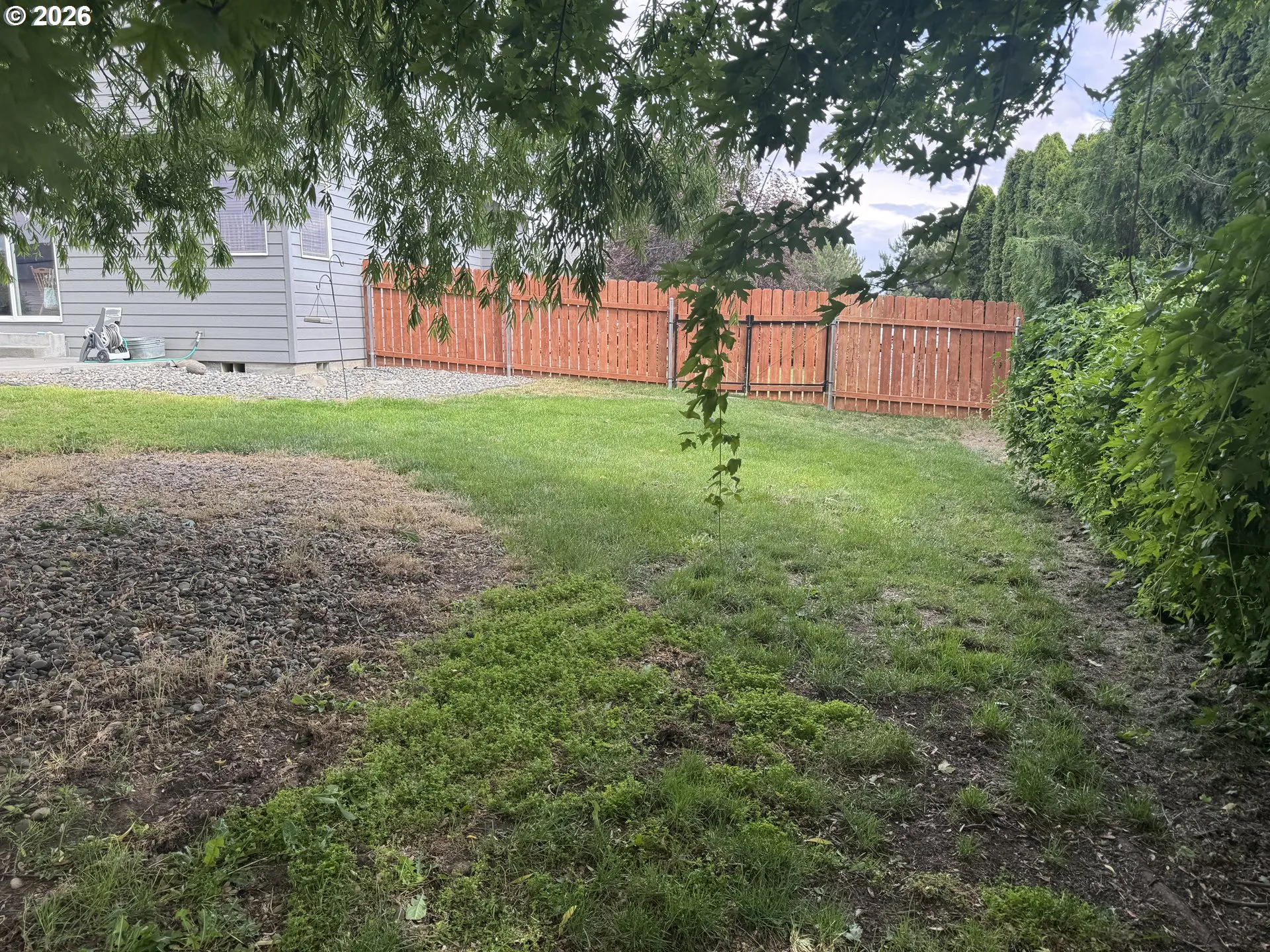 Backyard