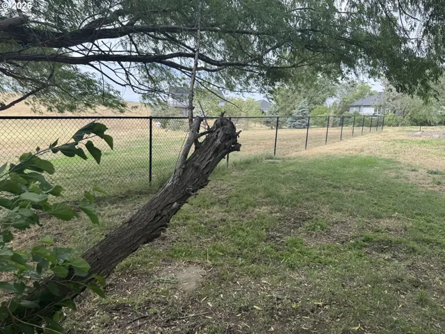 Backyard-Fenced