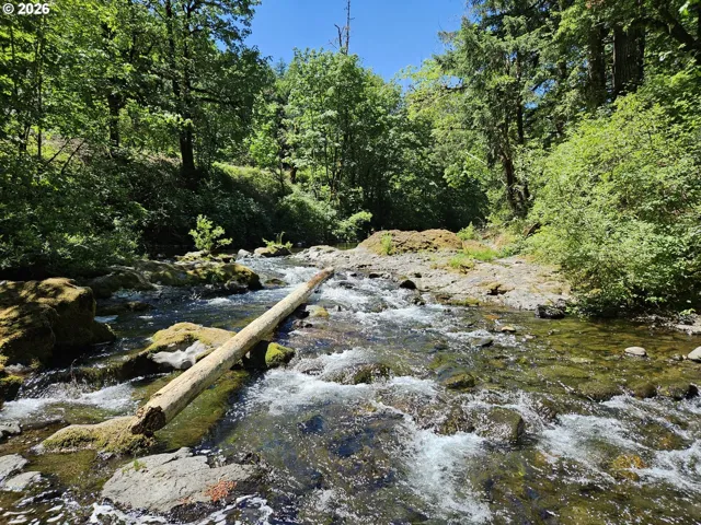 Neighborhood Park