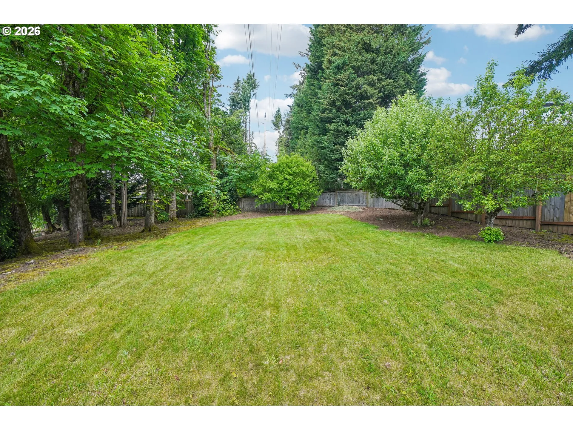 Yard-Landscaped