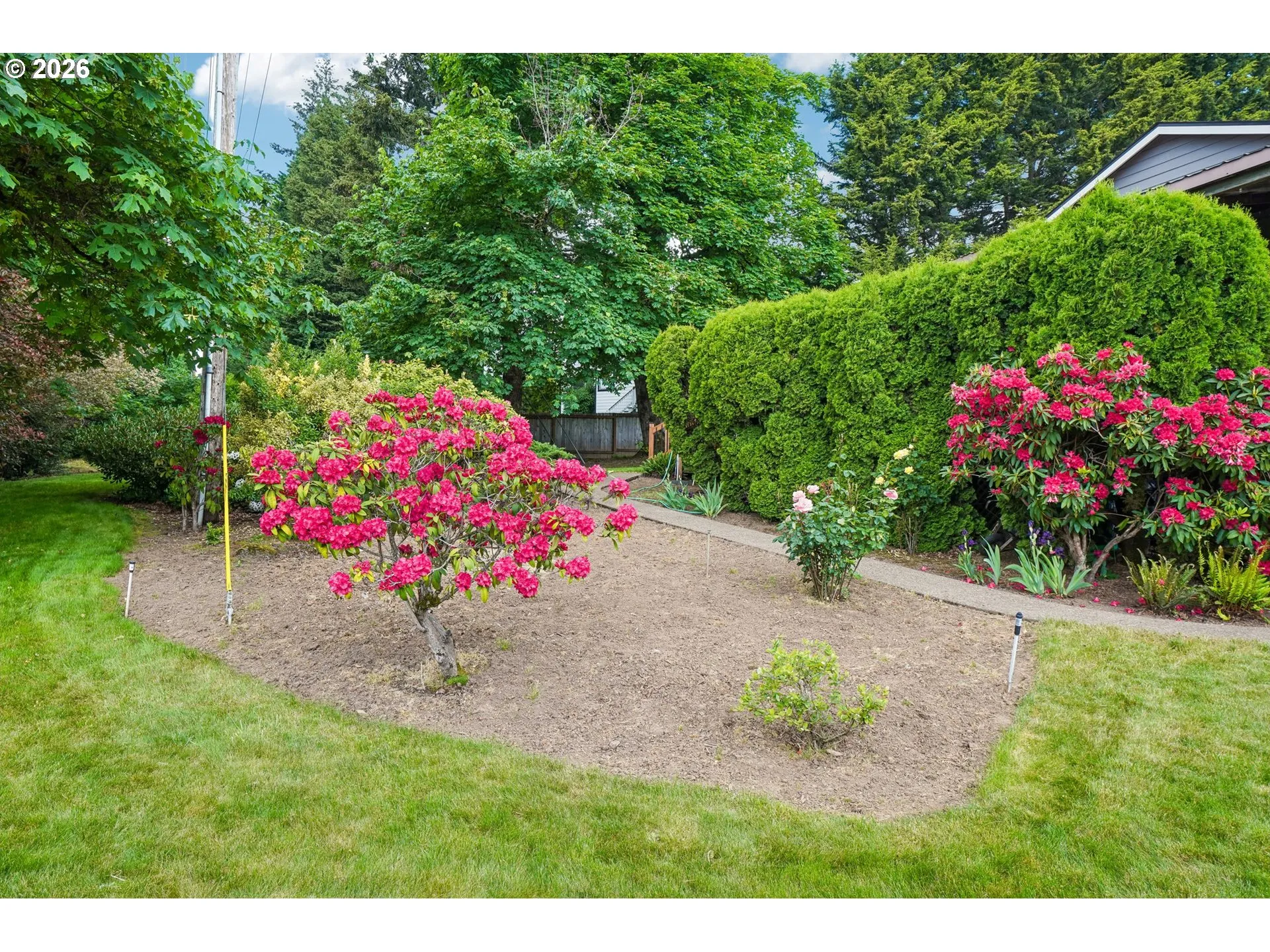 Yard-Landscaped