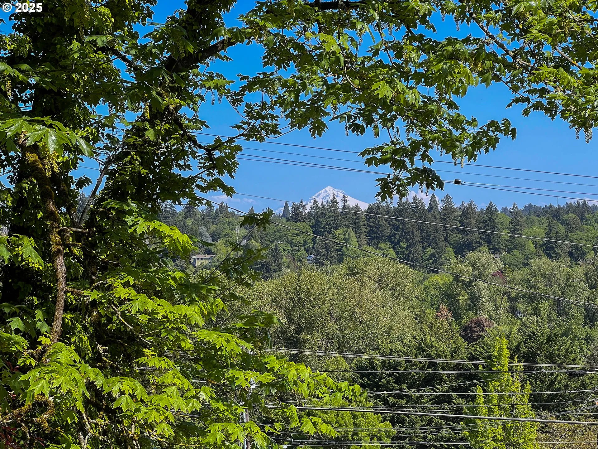 View-Mountain