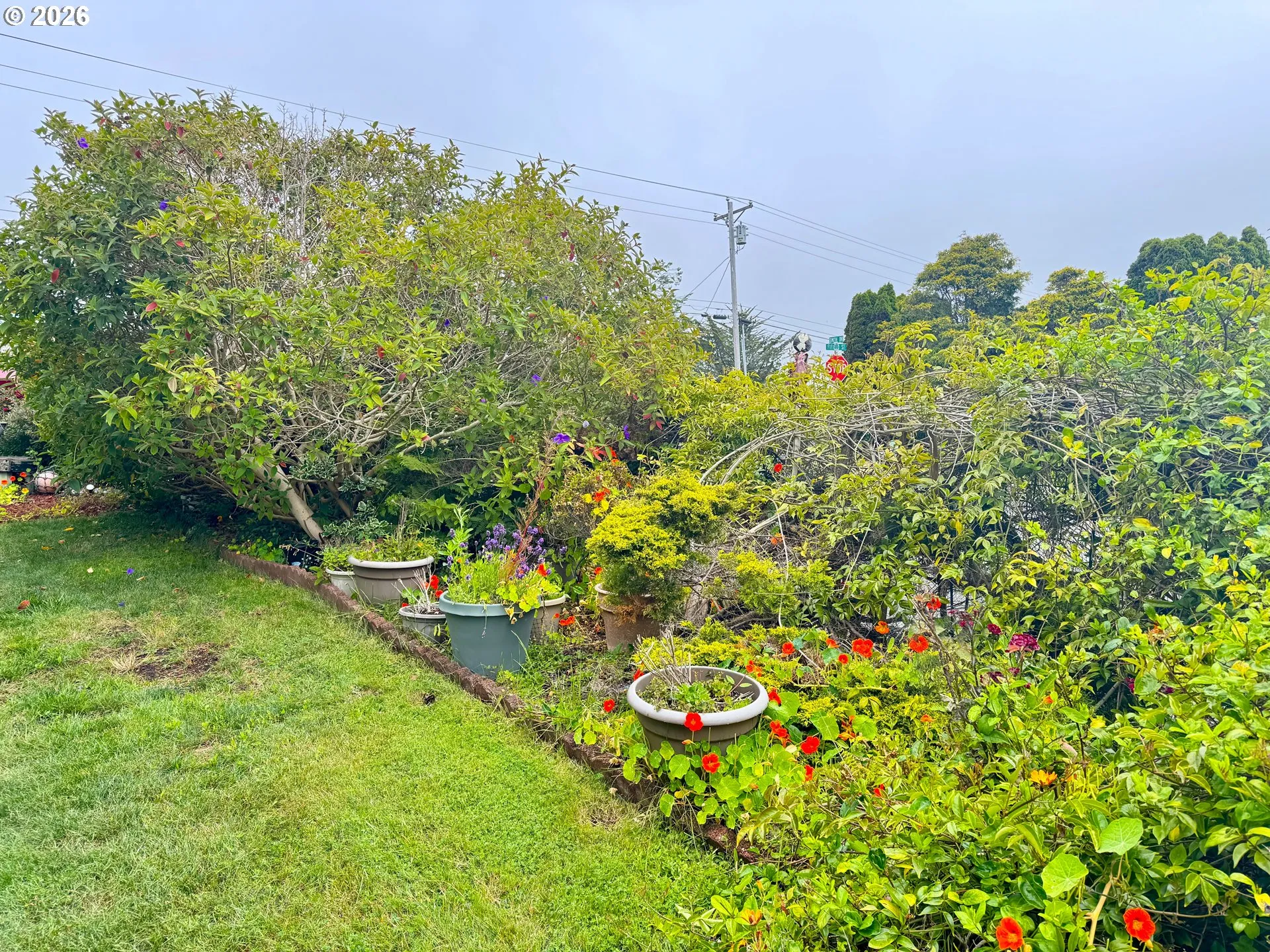 Front Yard
