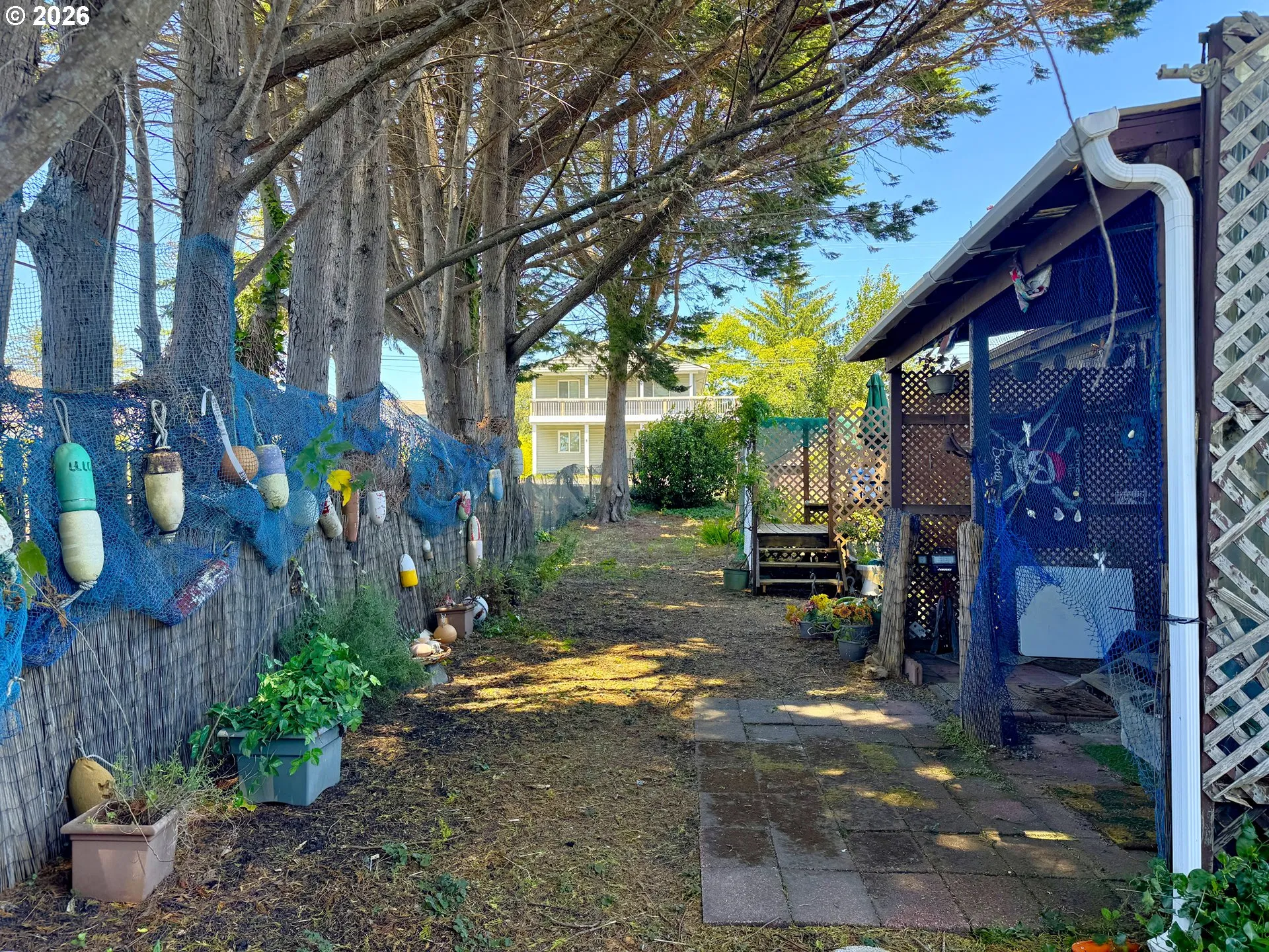 Backyard