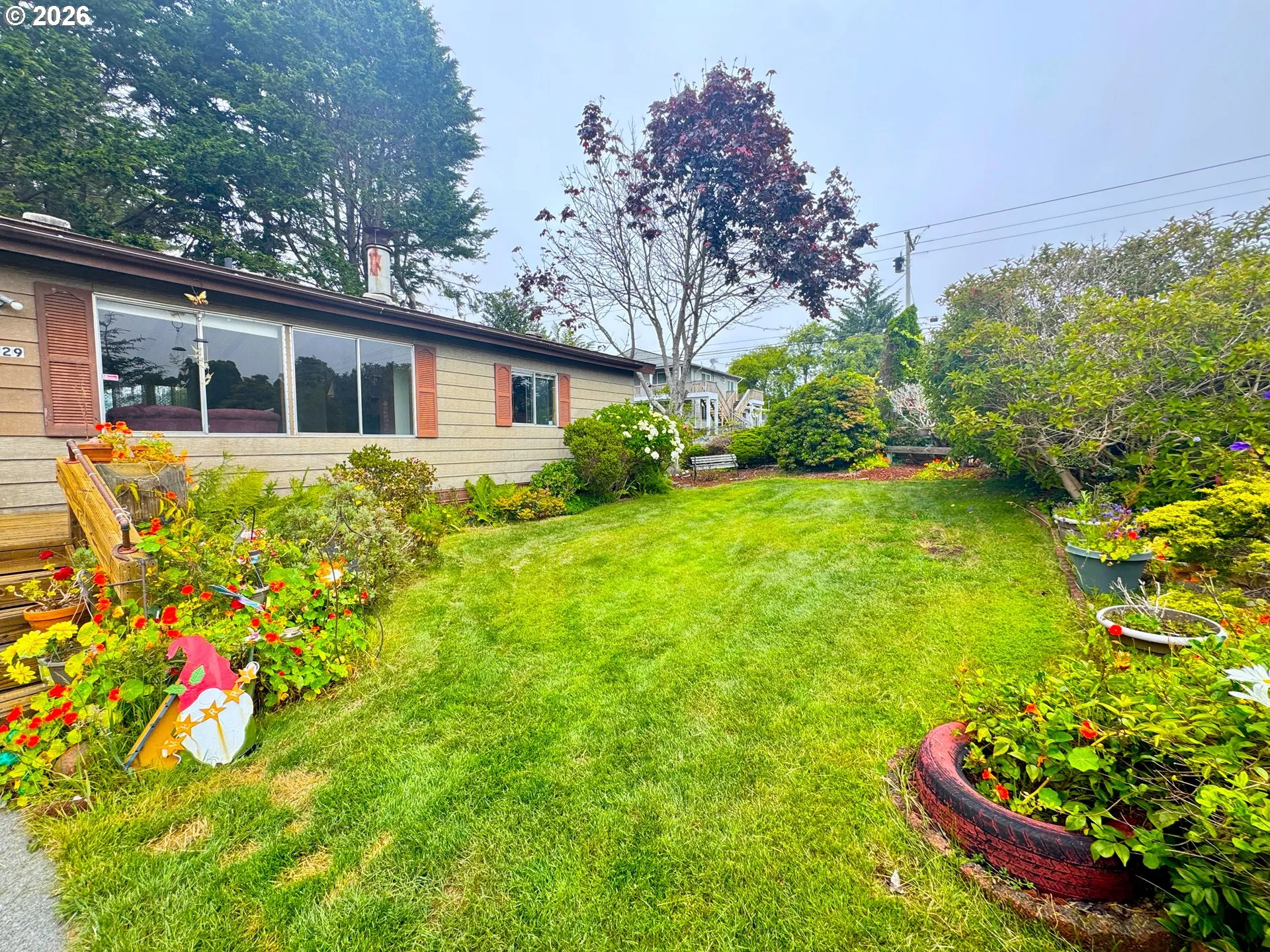 Front Yard