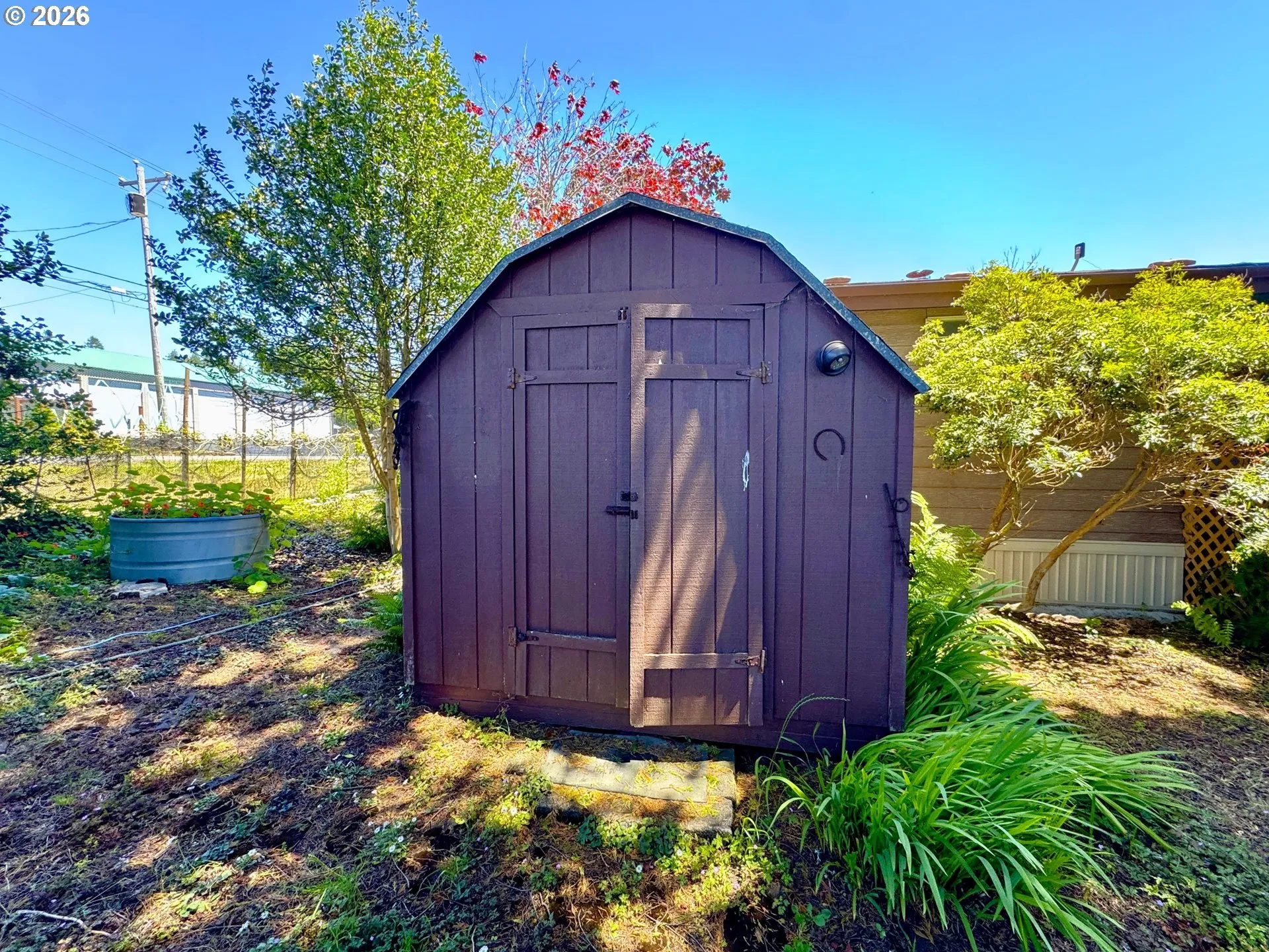 Shed