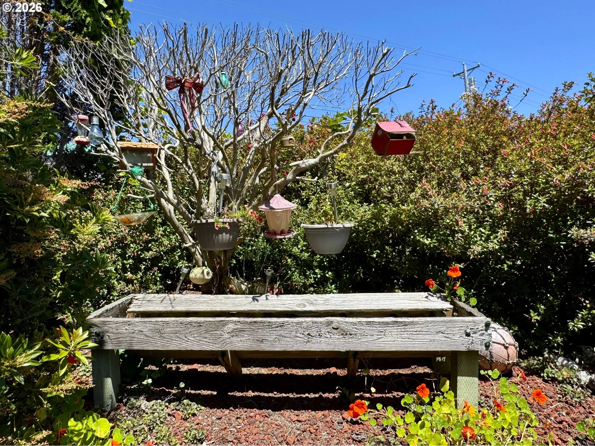 Yard