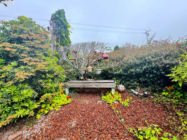 Front Yard