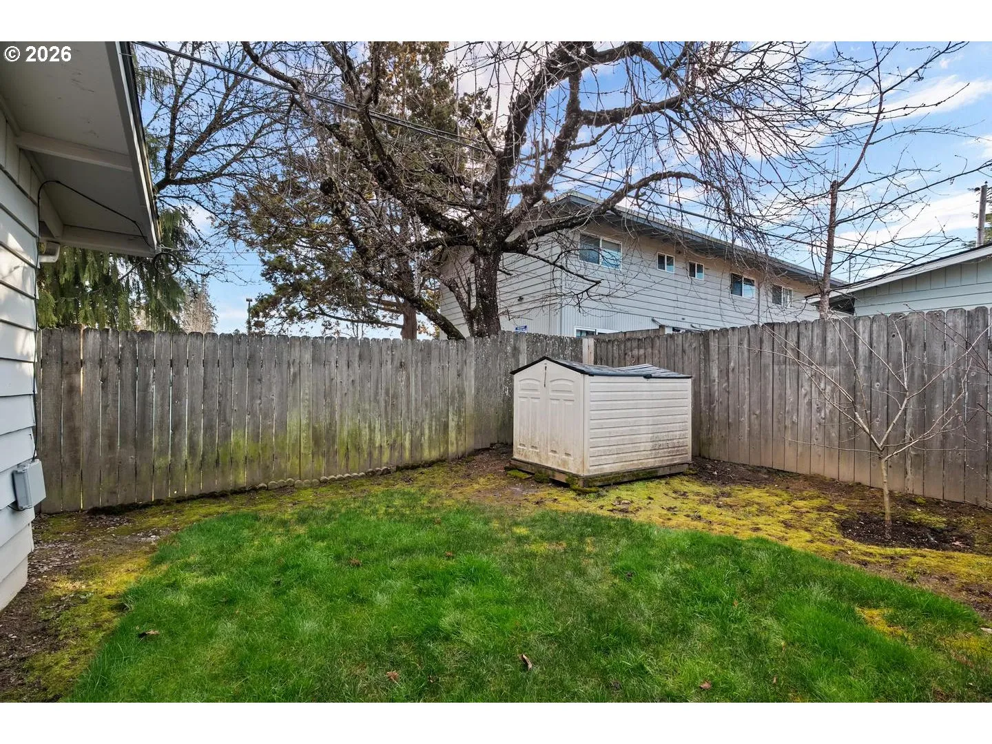 Backyard-Fenced