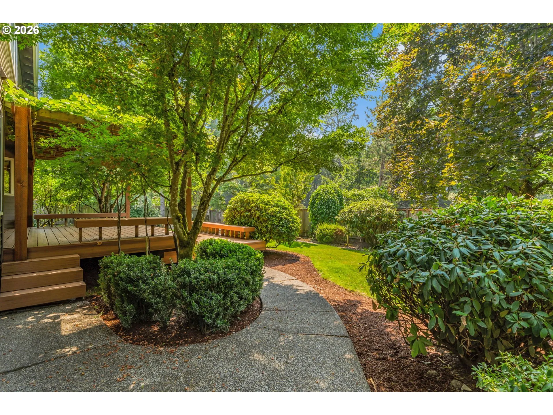 Backyard