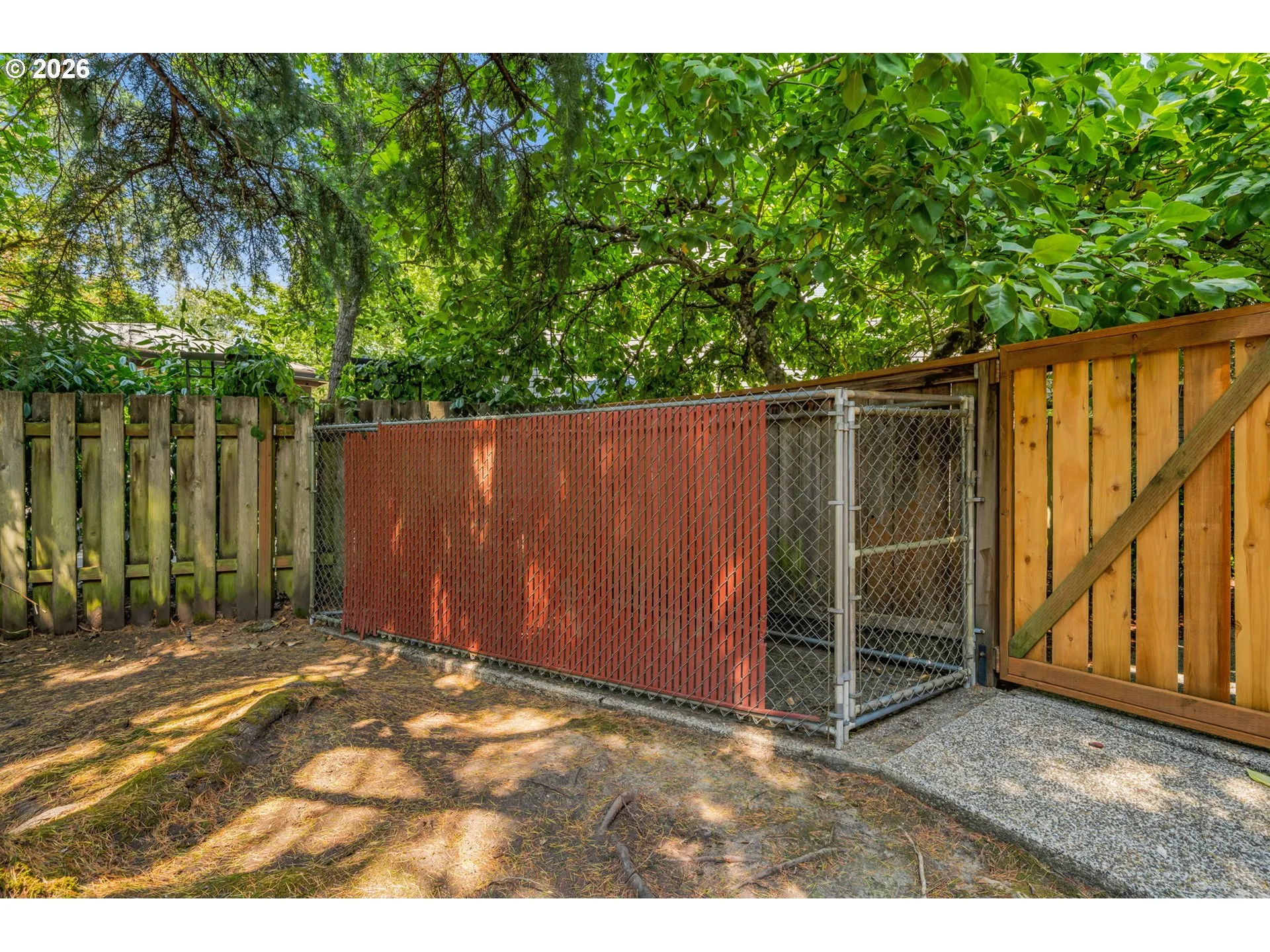Dog Run