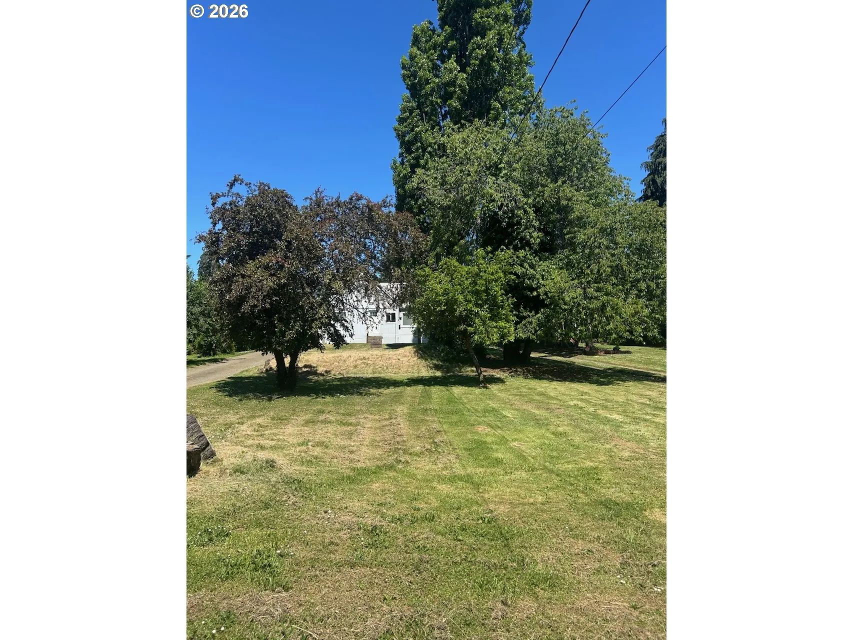 Front Yard-View From