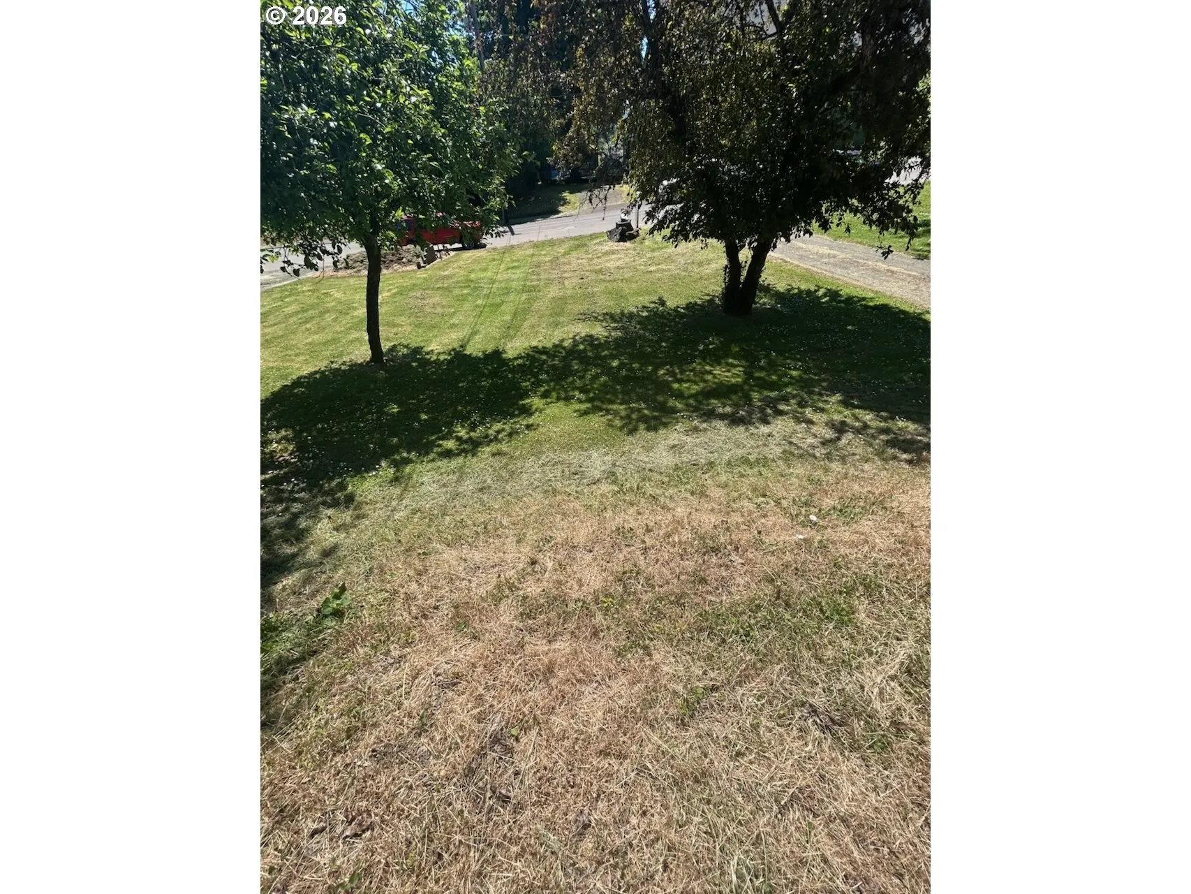 Front Yard-View From