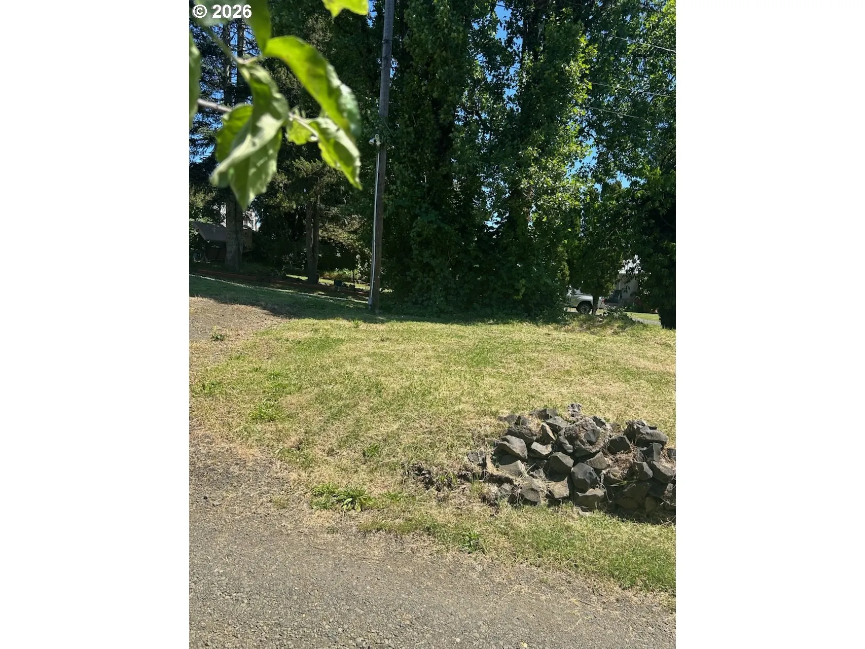 Front Yard-View From
