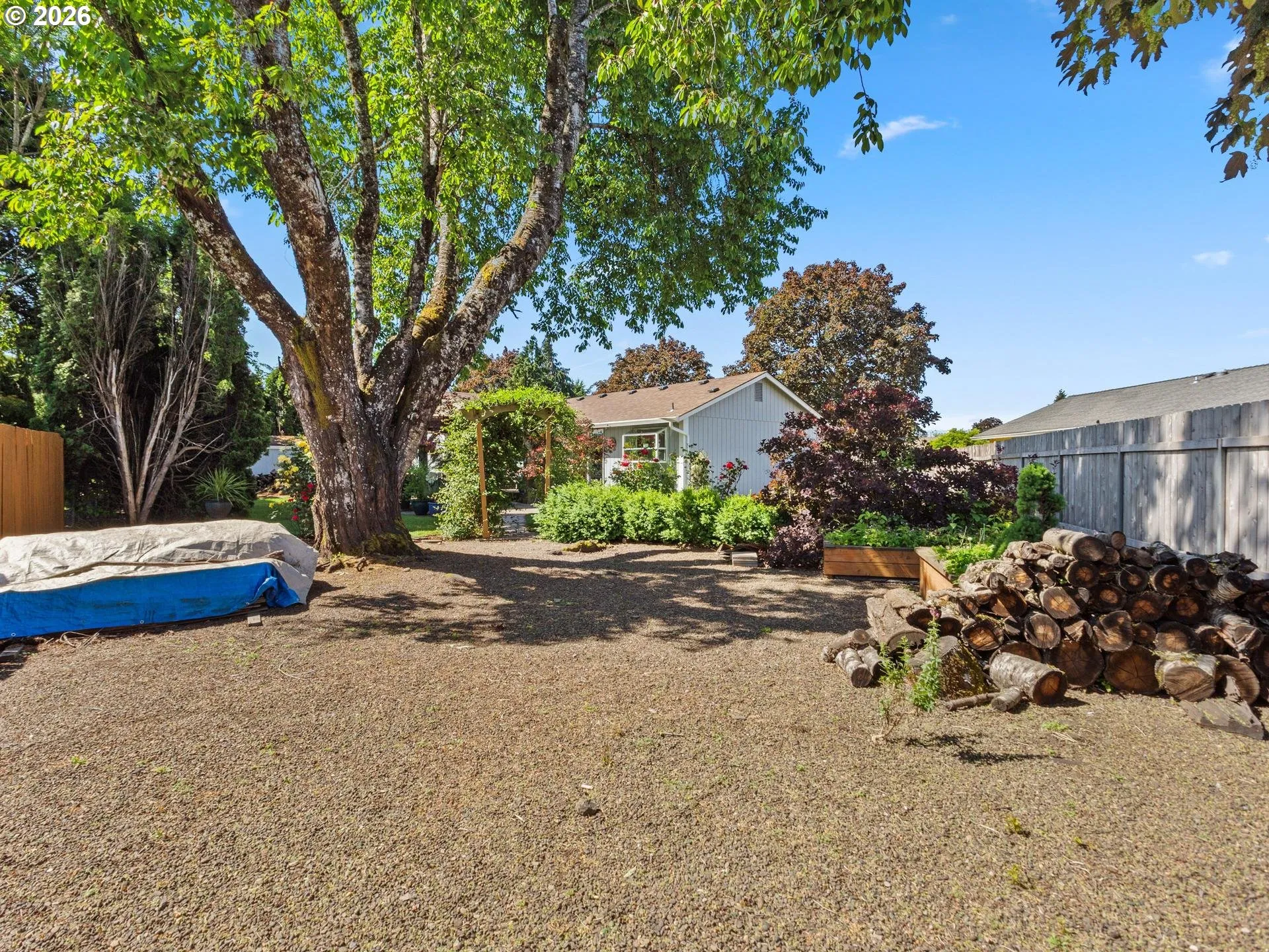 Backyard