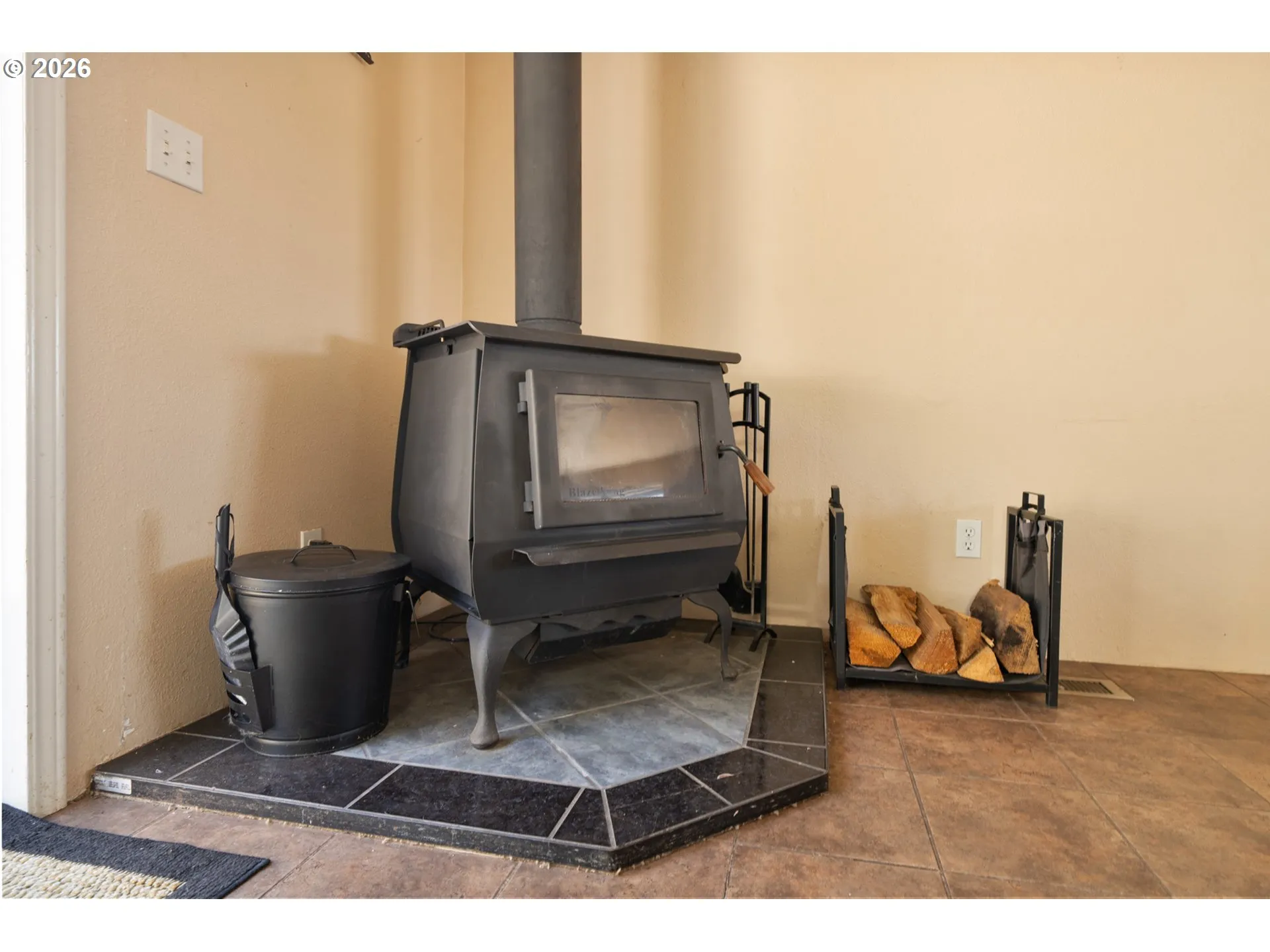 Fireplace Wood Burning Stove/Insert