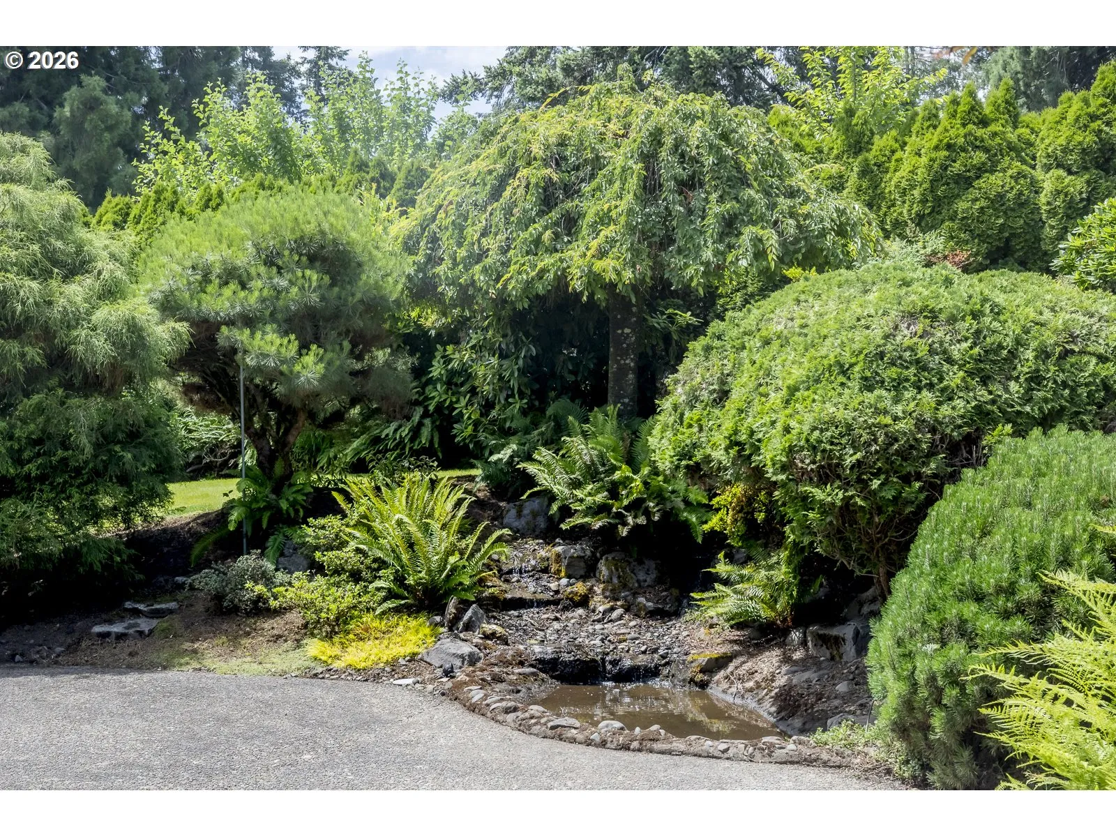 Water Feature