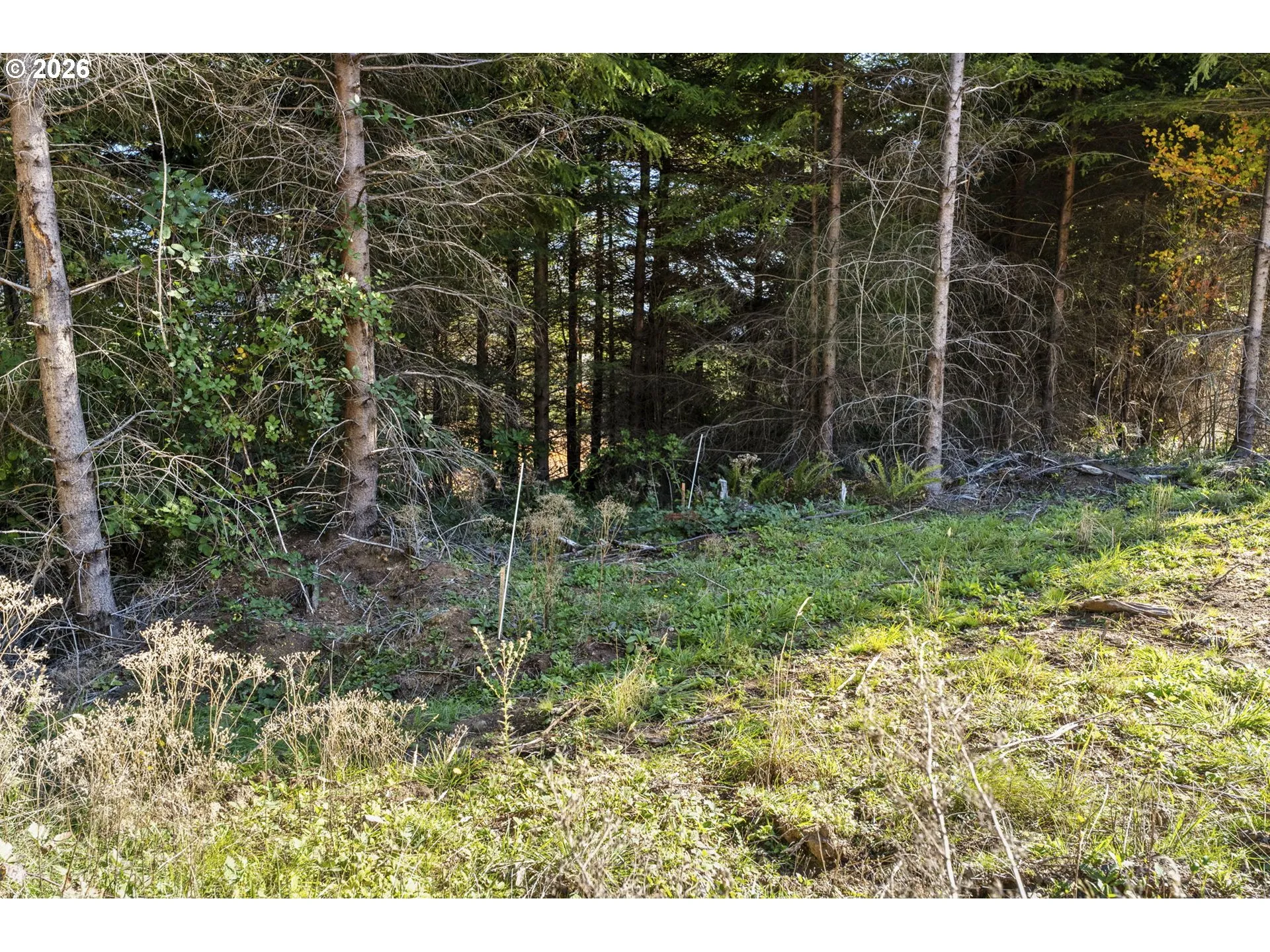 Acreage