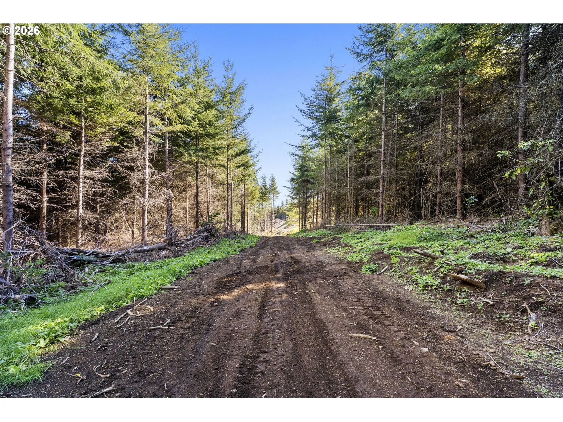 Acreage
