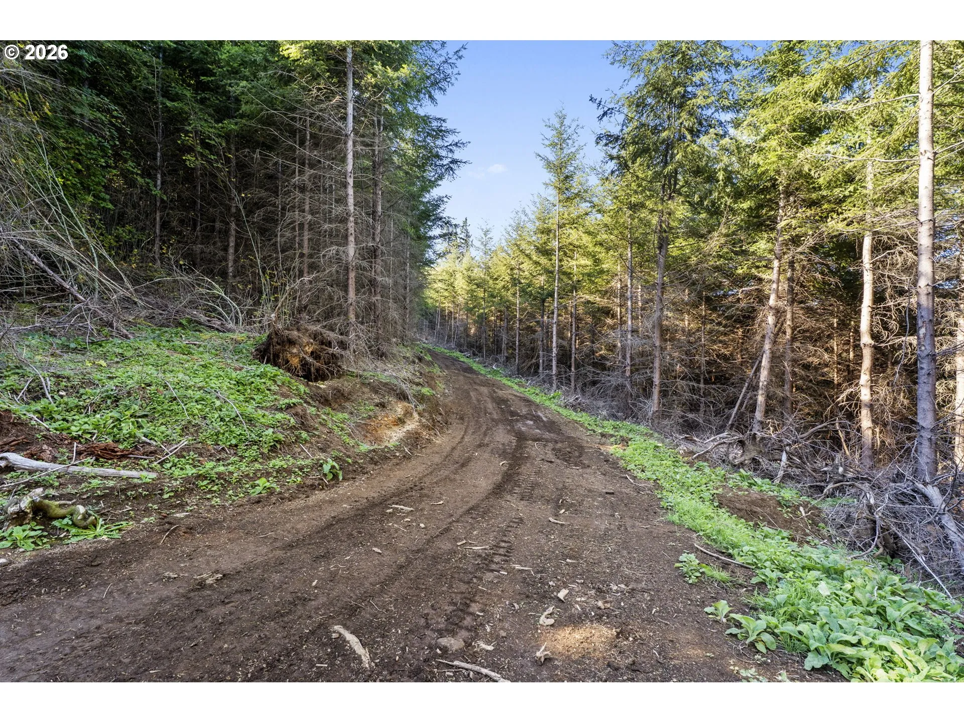 Acreage
