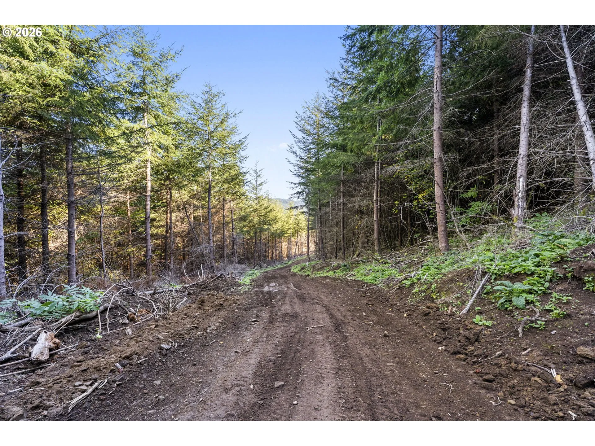 Acreage