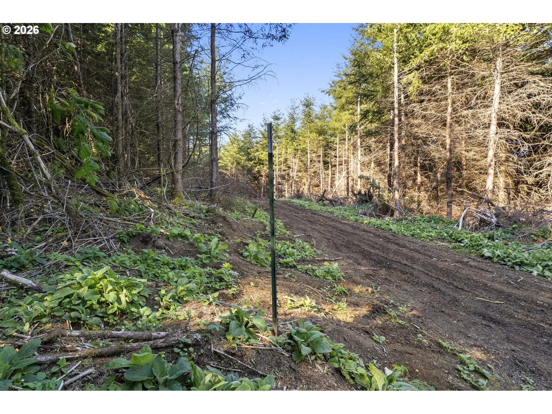 Acreage