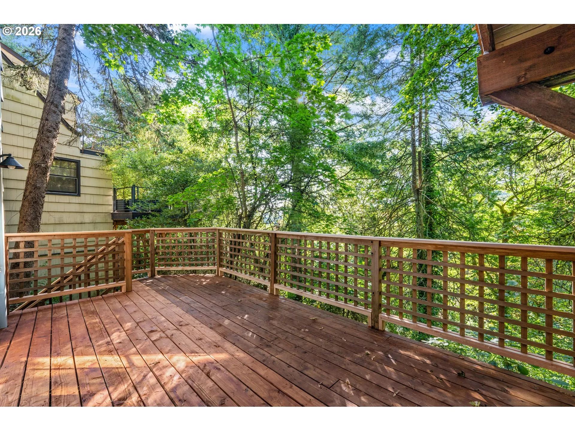 Deck-Lower