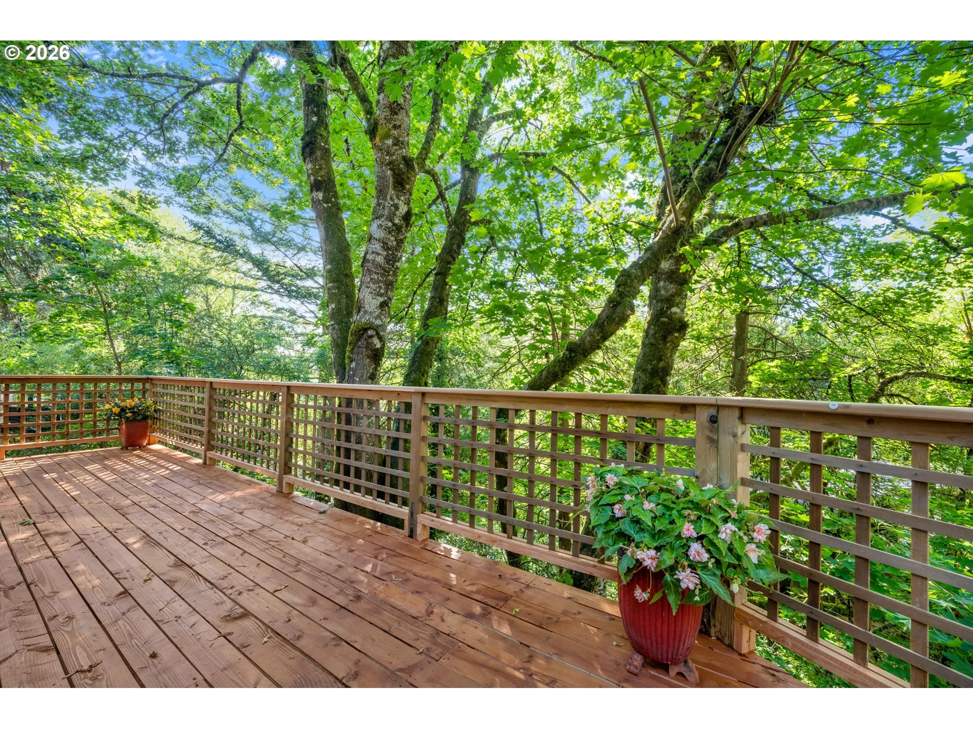 Deck-Main
