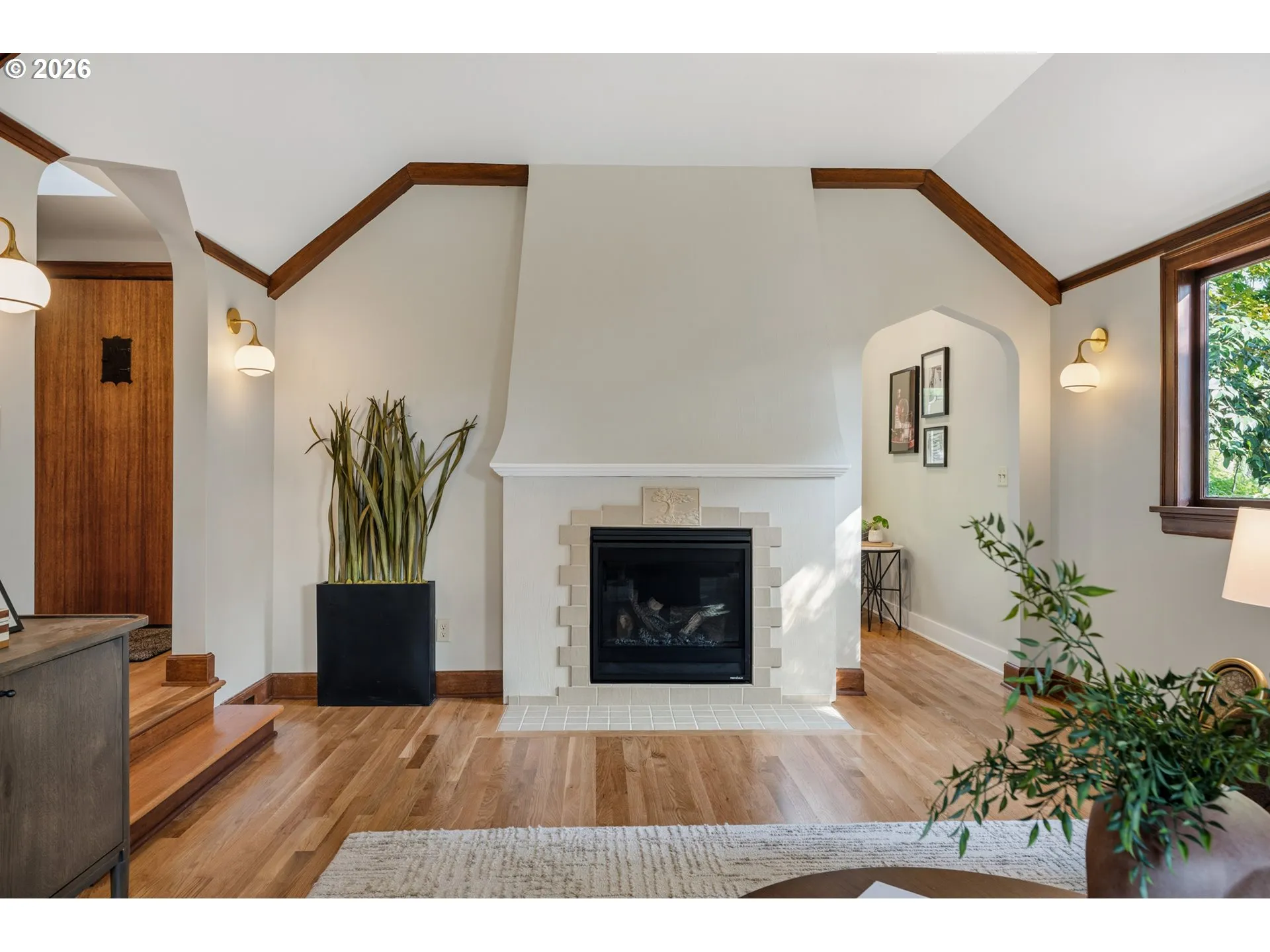Fireplace Gas
