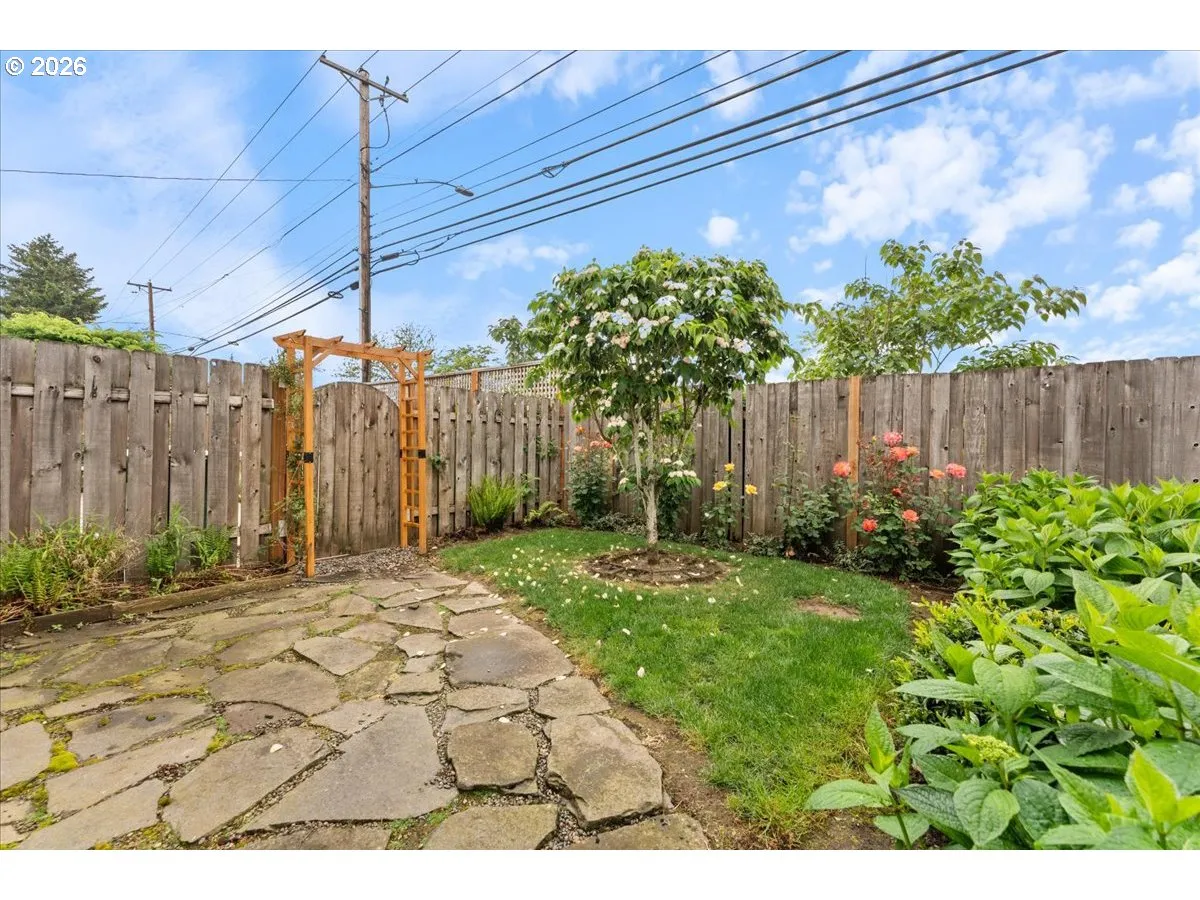 Backyard-Fenced