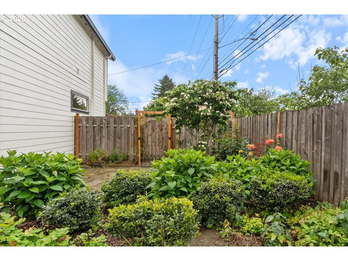Backyard-Fenced