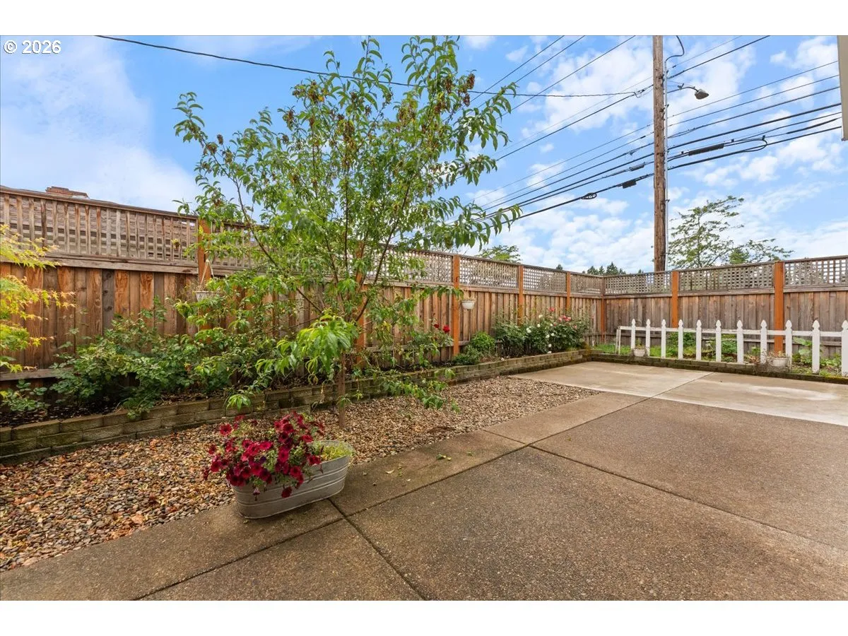 Patio-Backyard
