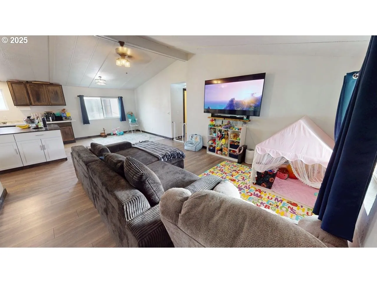 Living Room-Vaulted Ceilings
