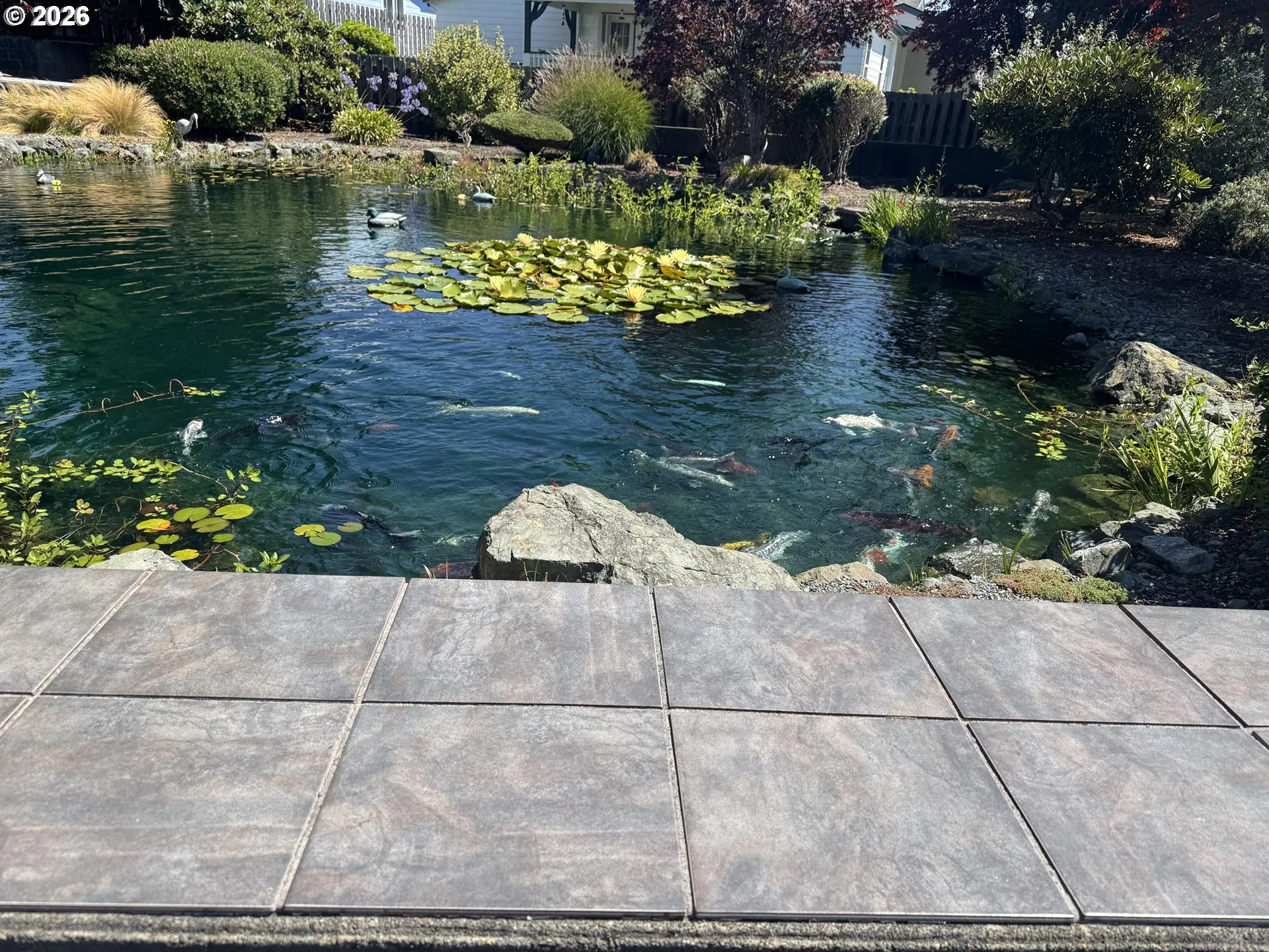 Community Garden