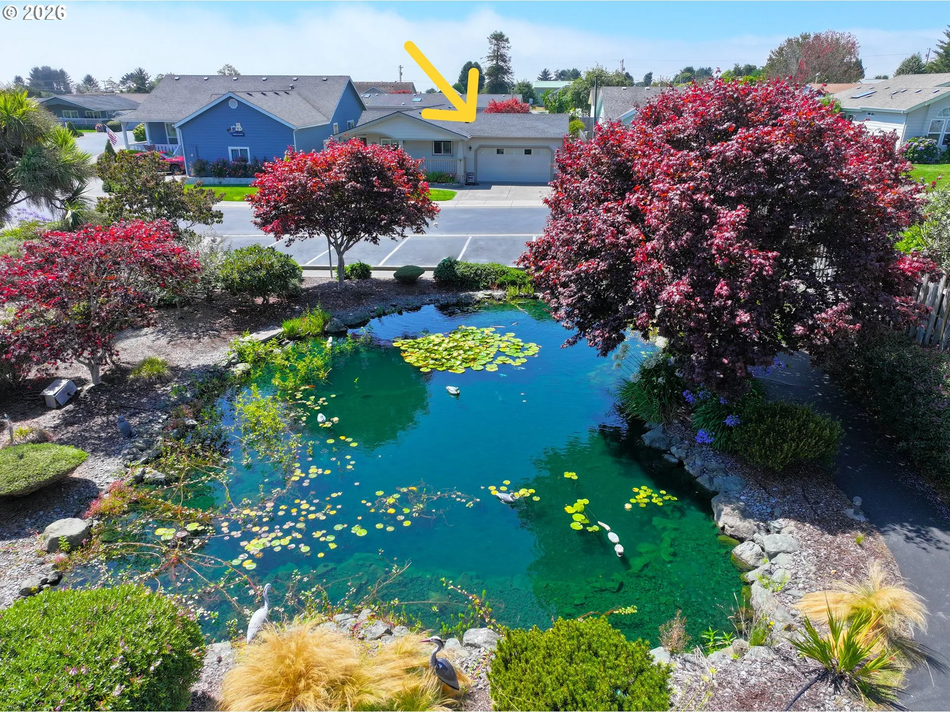 Community Park