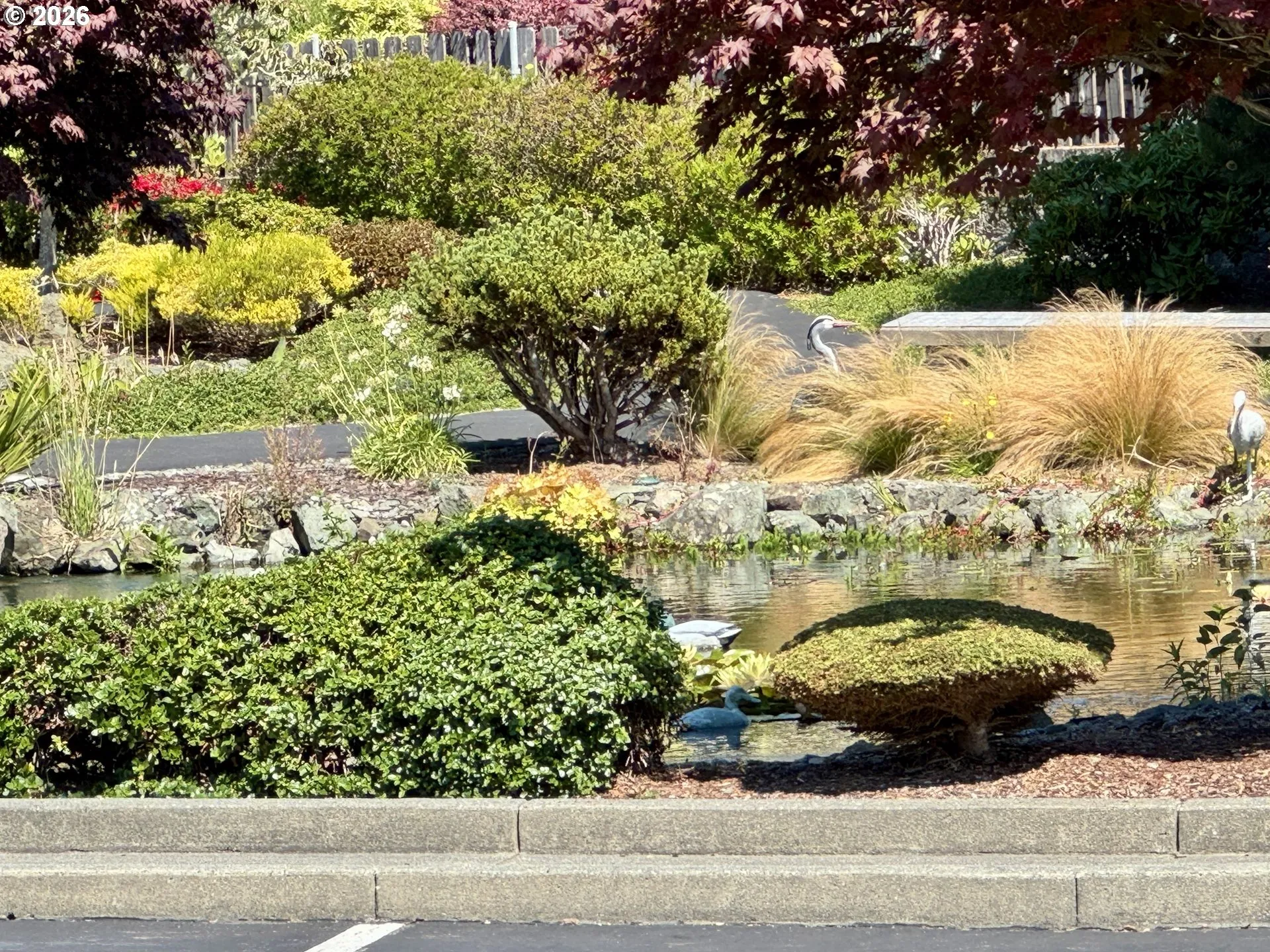 Community Park
