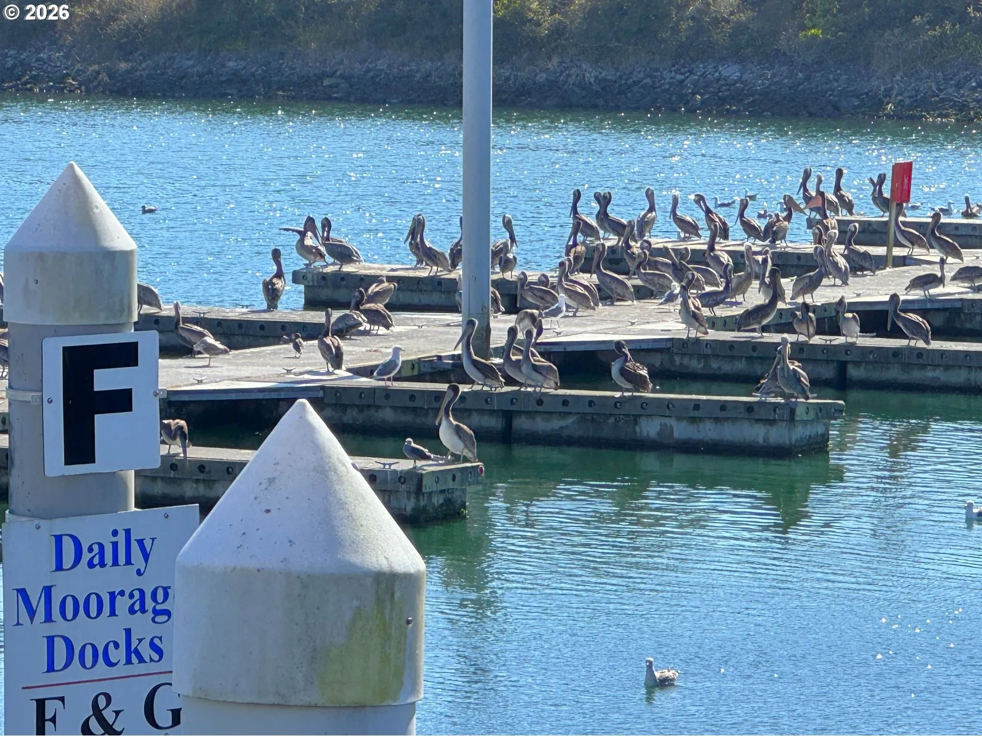 River Access