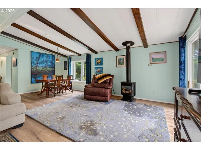 Fireplace Gas