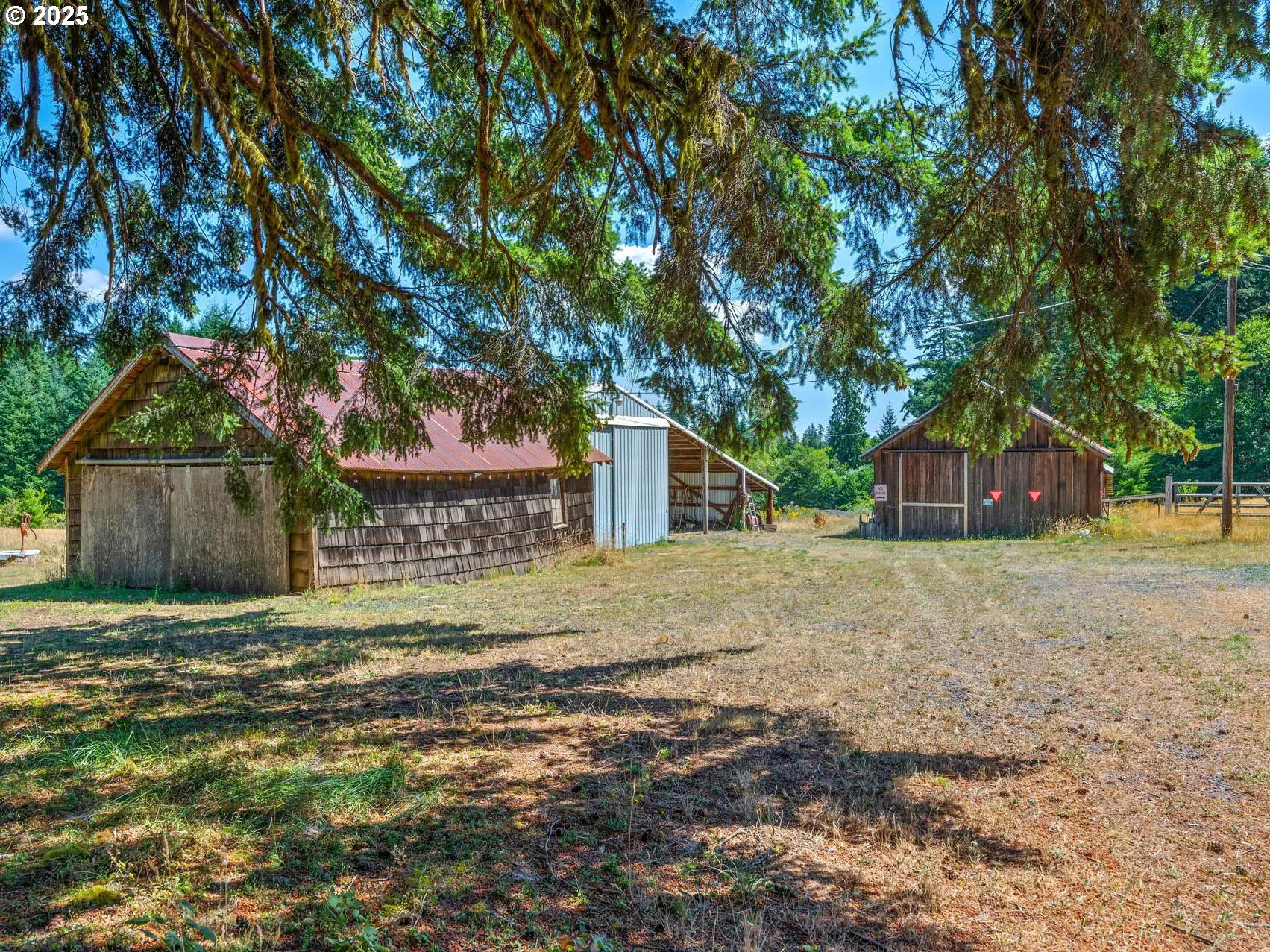 Shed