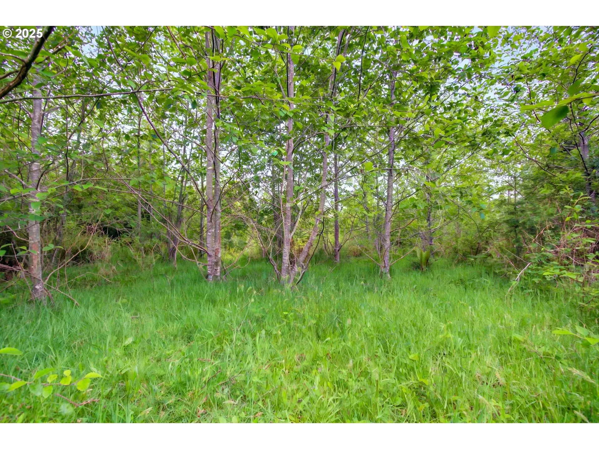 Acreage