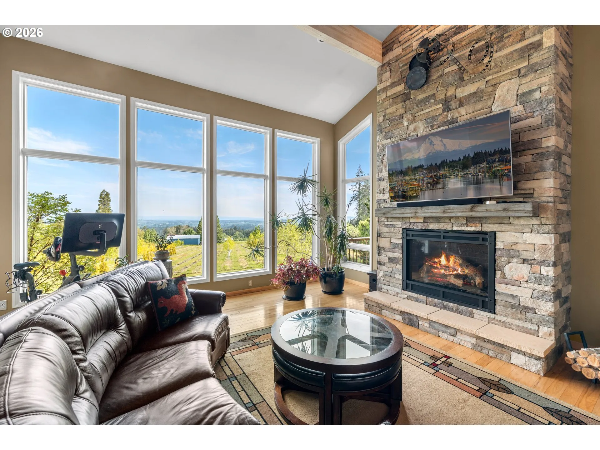 Living Room-Fireplace