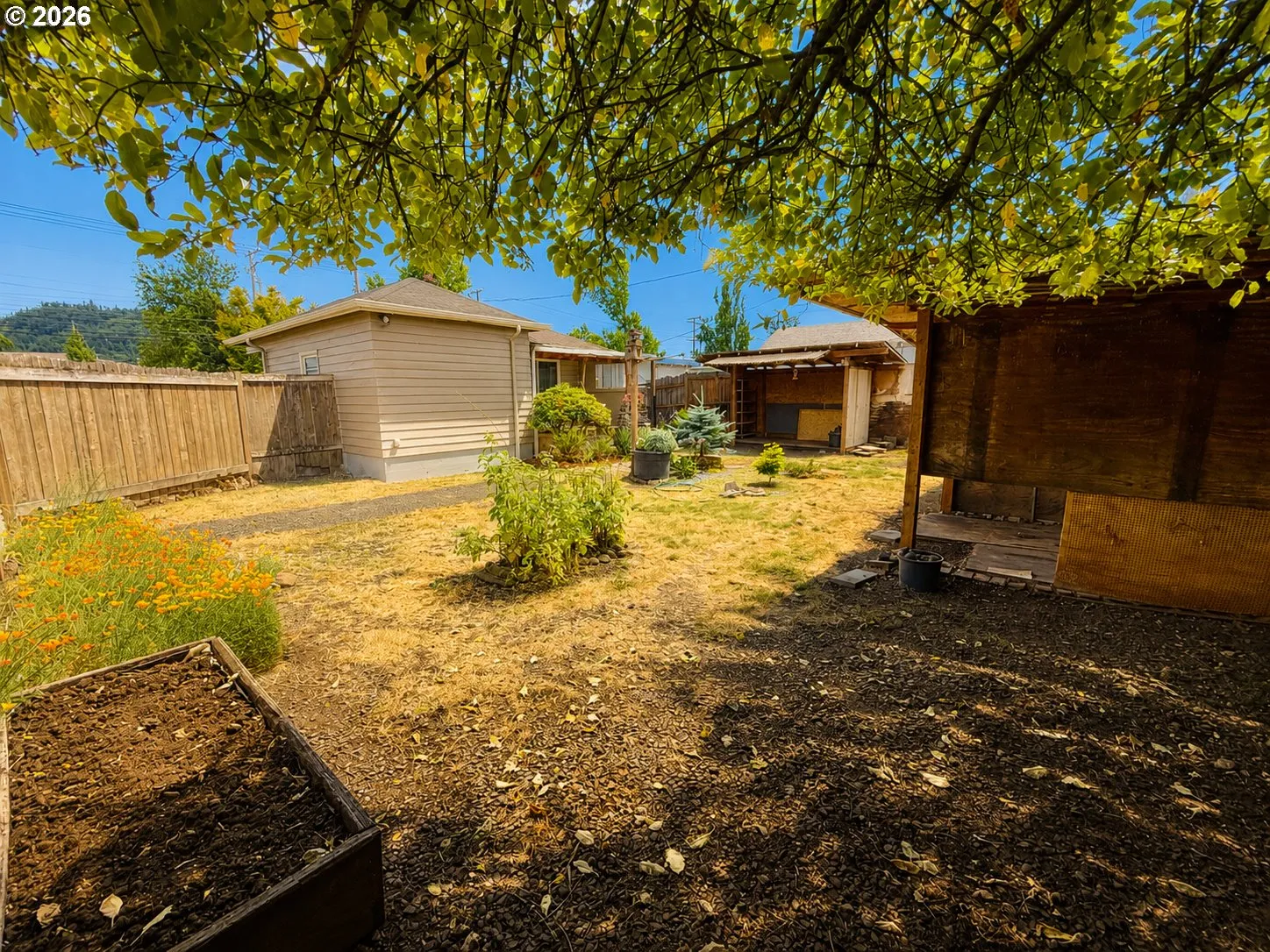 Backyard-Fenced